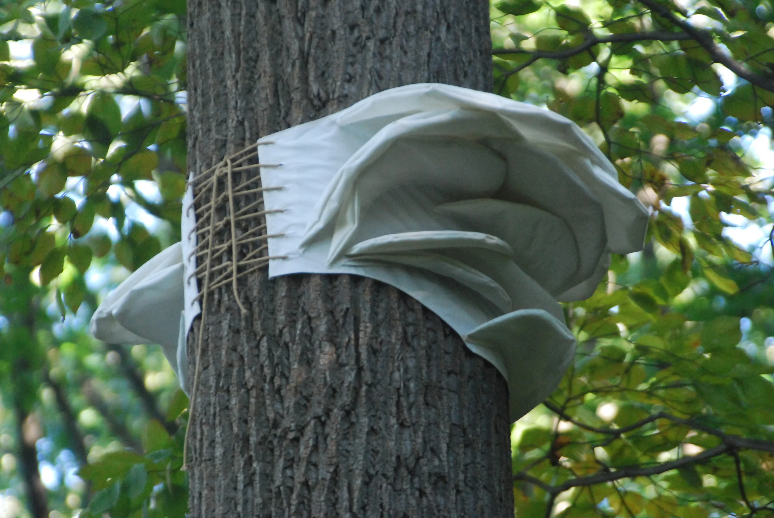 tree skirts