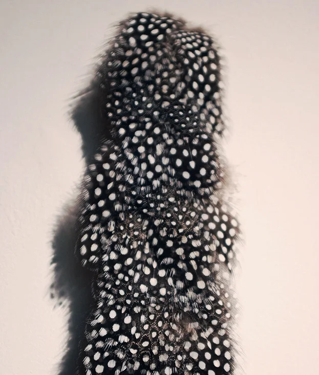 inherited (detail)