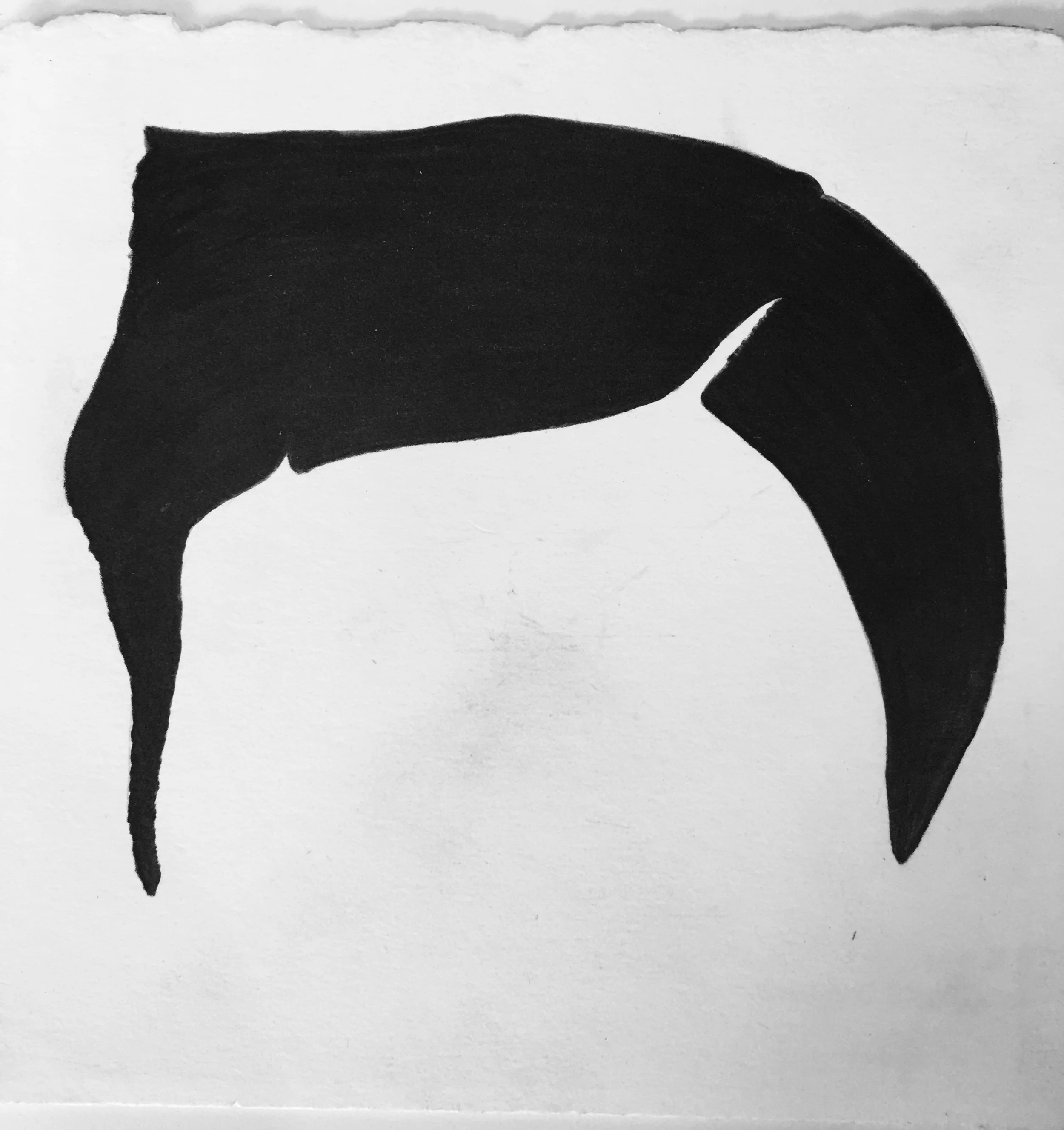 part of the ongoing series of graphite drawings on arches rendered from tin types from my ancestors circa 1850-1870 2011 - current 7" x 7"