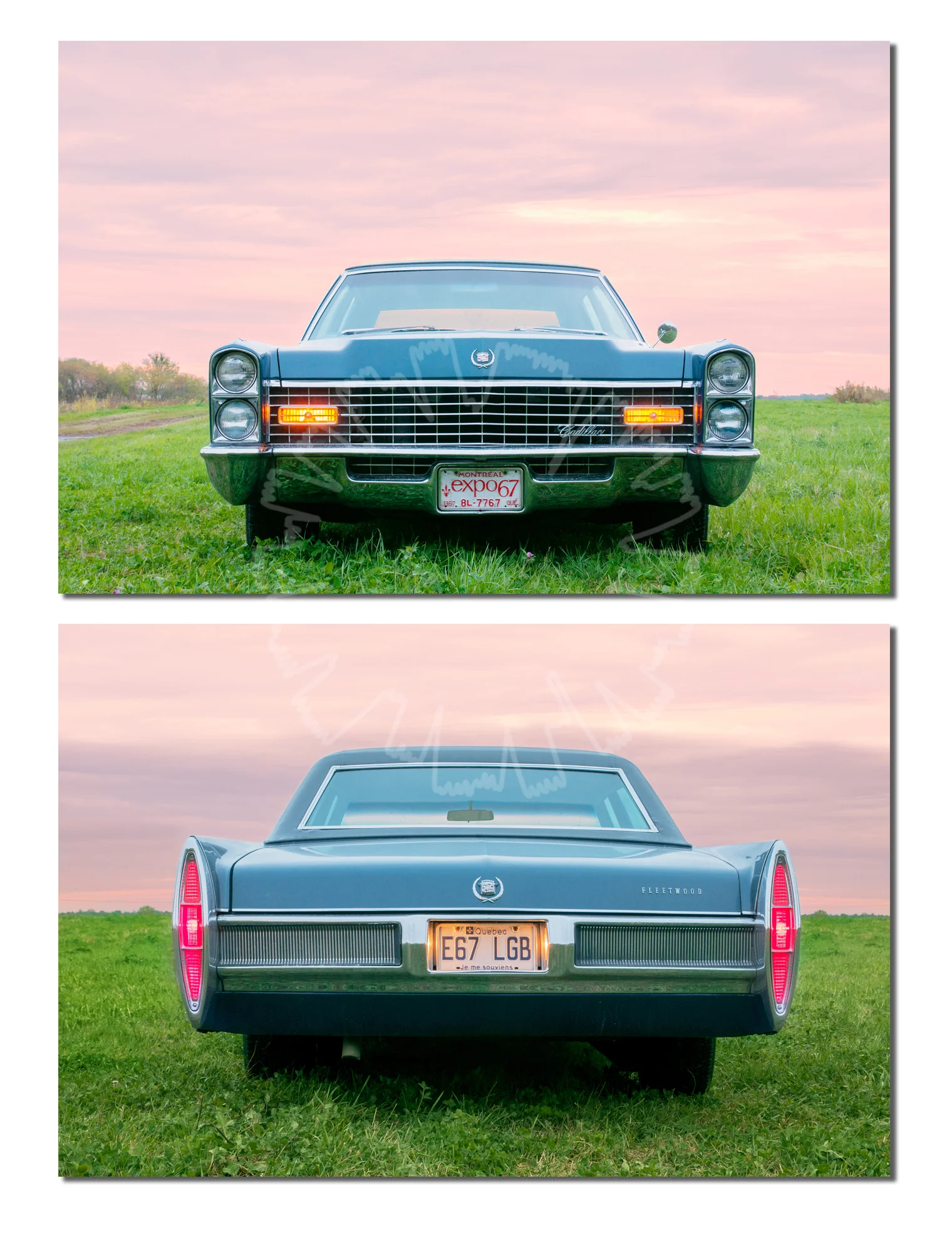 rear.jpg