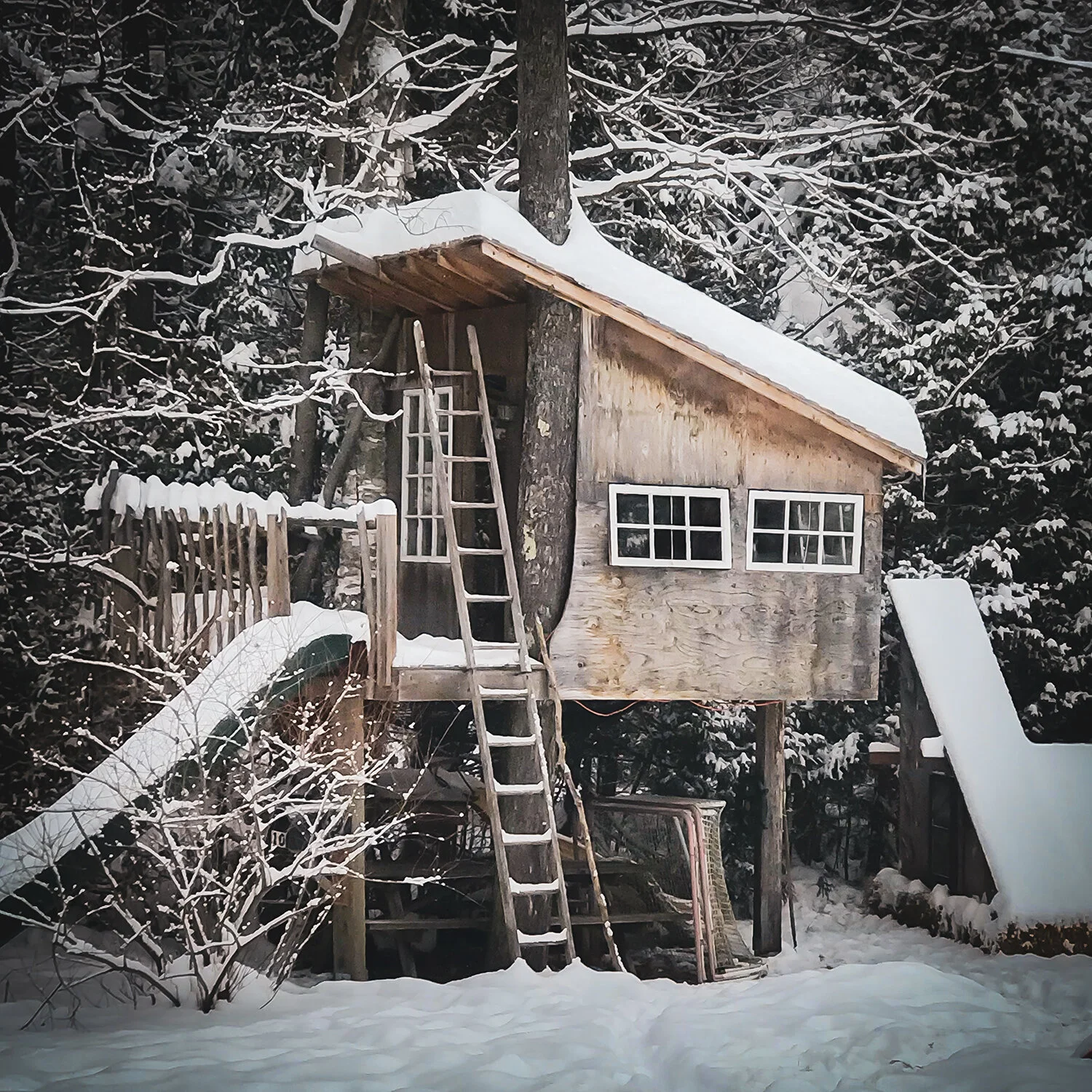 Poulailler 🐔 Chicken Coop
