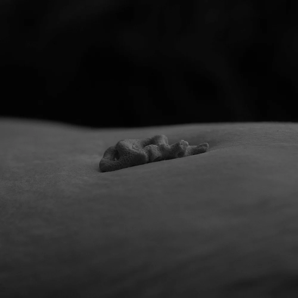 ✨
𝗖𝗼𝗿𝗮𝗹 𝗼𝗻 𝗕𝗲𝗹𝗹𝘆 From my latest series '𝗡𝗮𝘁𝘂𝗿𝗲 𝗠𝗼𝗹𝗹𝗲'. 🪸🪨🌿
A vulnerable and intimate self-portrait honouring my squishy belly. My intentions were to use macrophotography, and create rock gardens and landscapes. Using a few '