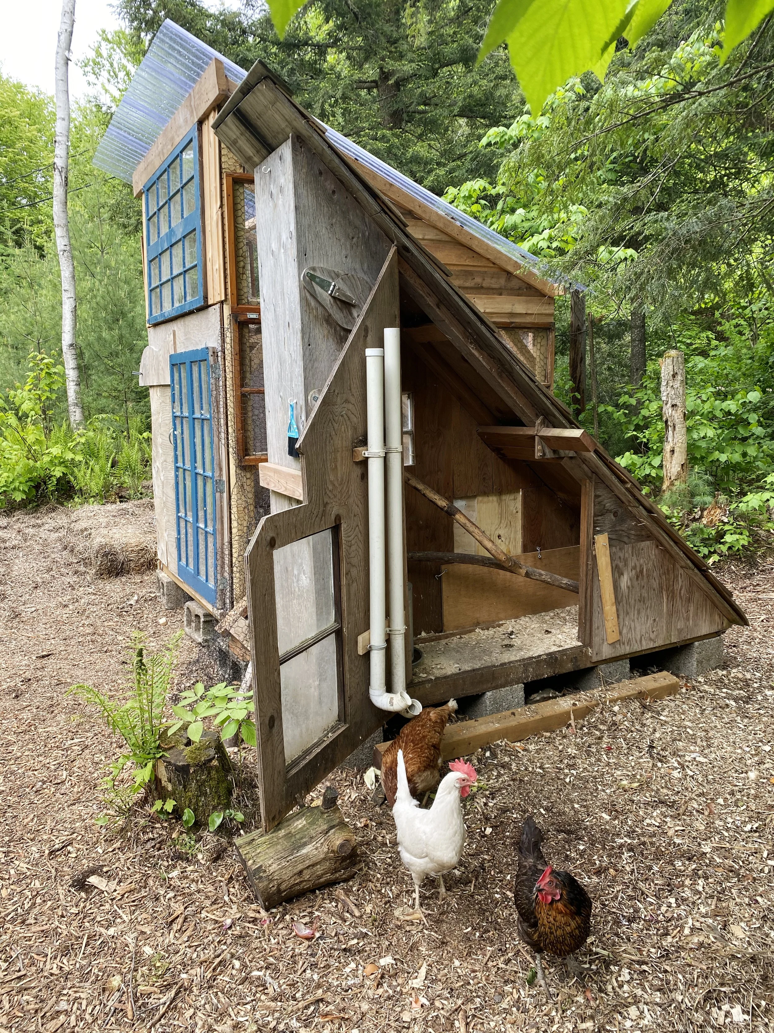 Poulailler 🐔 Chicken Coop