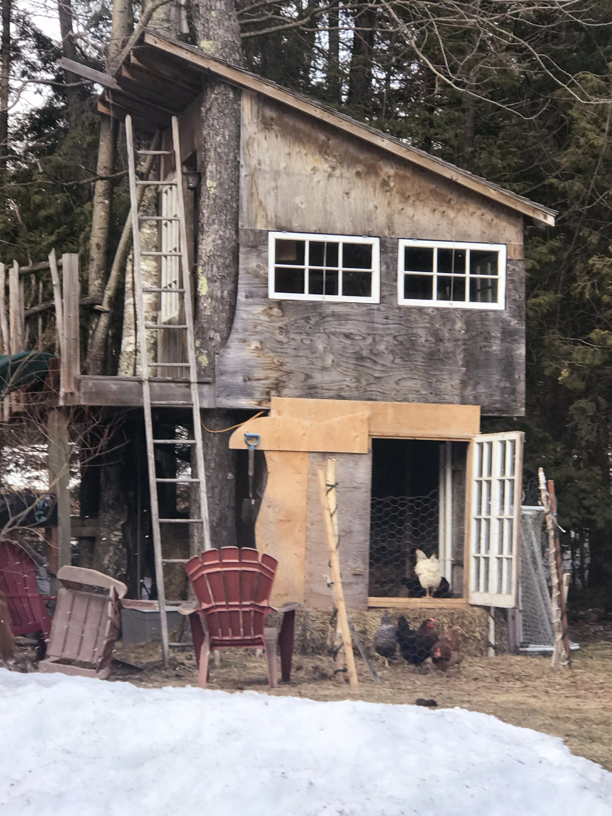 Poulailler 🐔 Chicken Coop