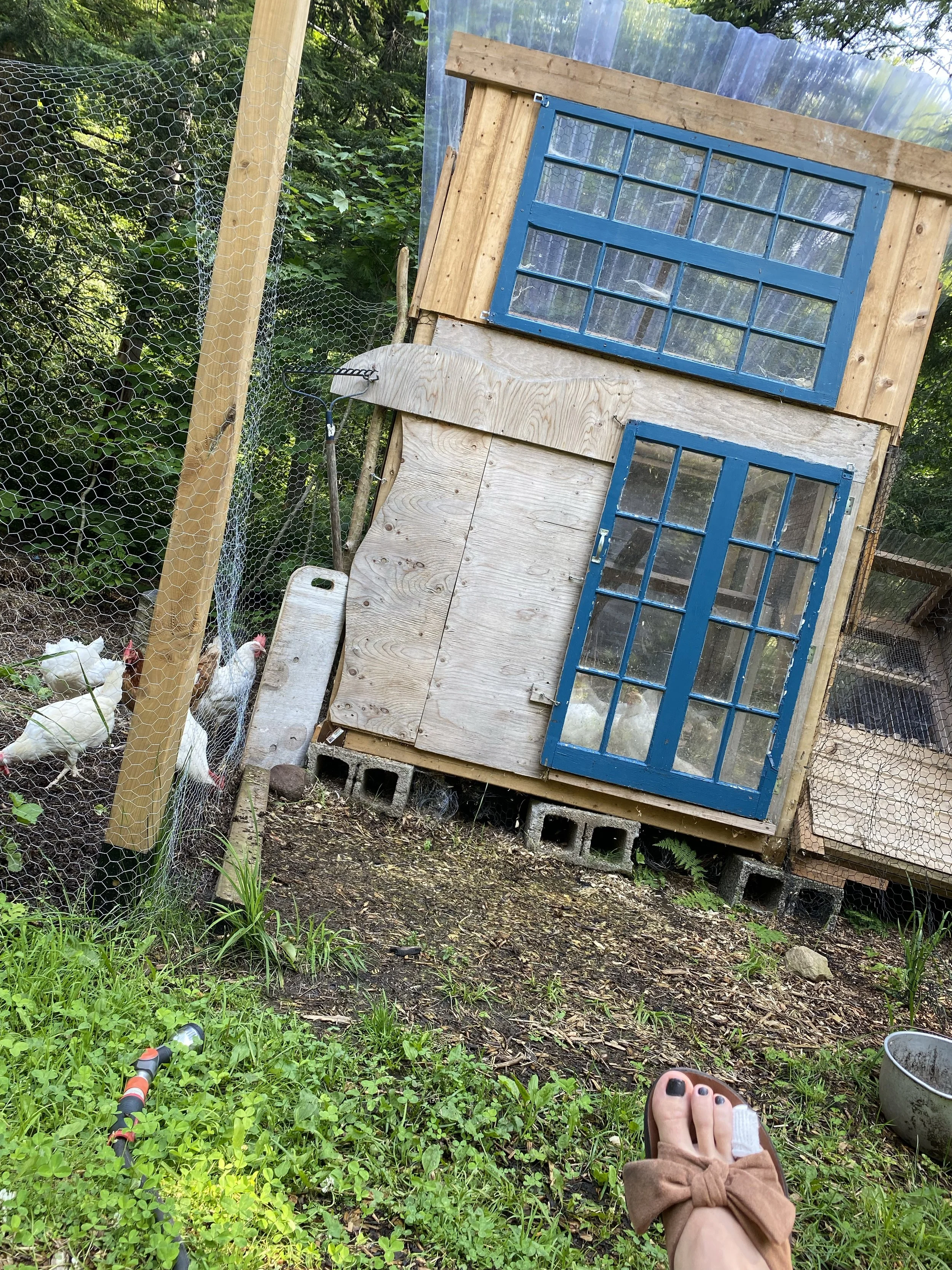 Poulailler 🐔 Chicken Coop
