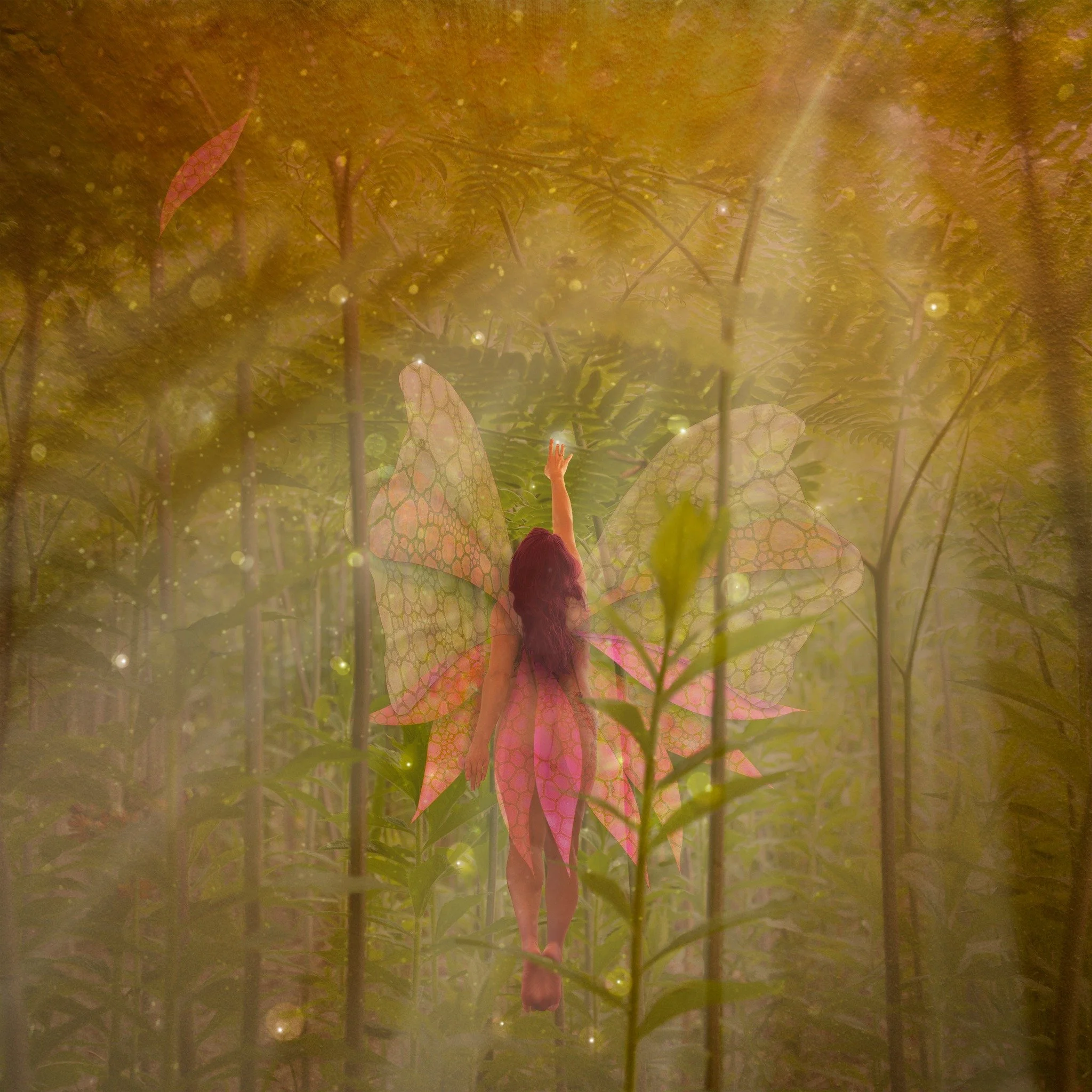 ⫸ 4/52 &mdash; Theme : Fantasy
@sonyalphafemale &mdash; #saf52weekchallenge 

&ldquo;Come Fairies, take me out of this dull world, for I would ride with you upon the wind and dance upon the mountains like a flame !&rdquo; William Butler Yeats

I am n