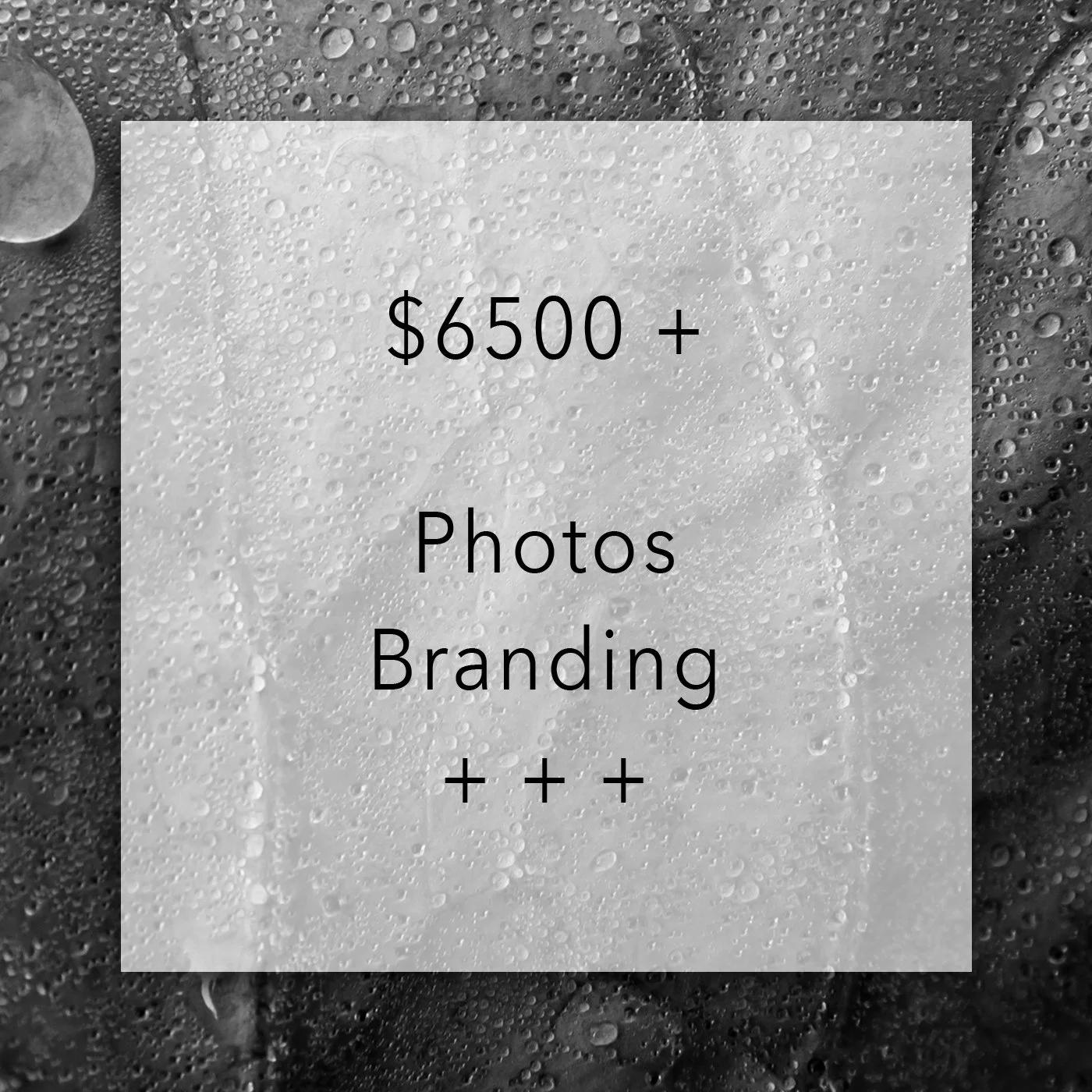 Branding Packages Kit.jpg