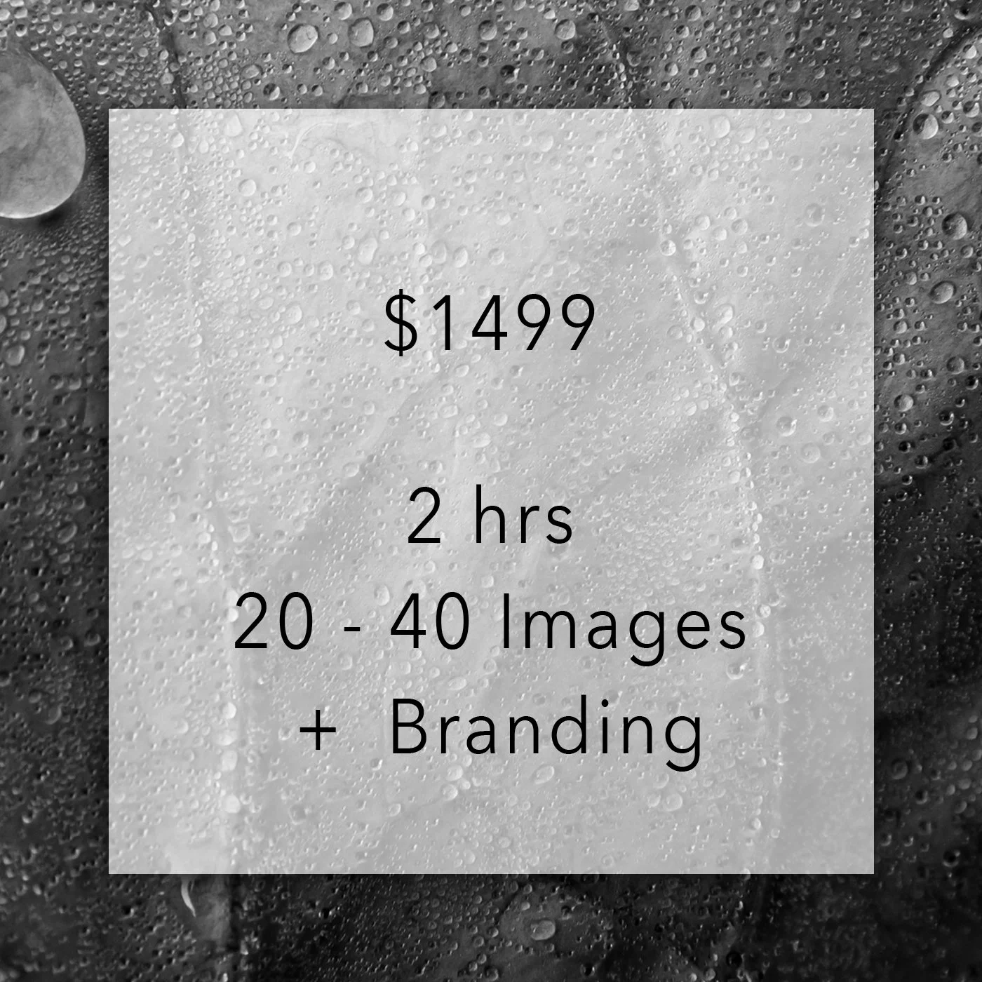 Branding Packages Mid.jpg