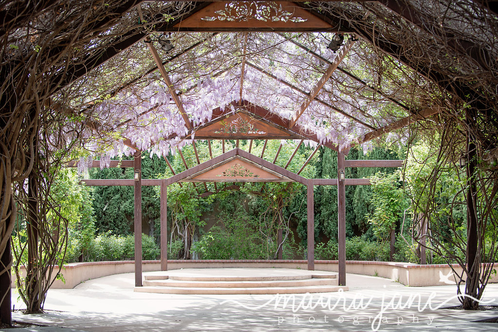 MauraJanePhotography_003.jpg