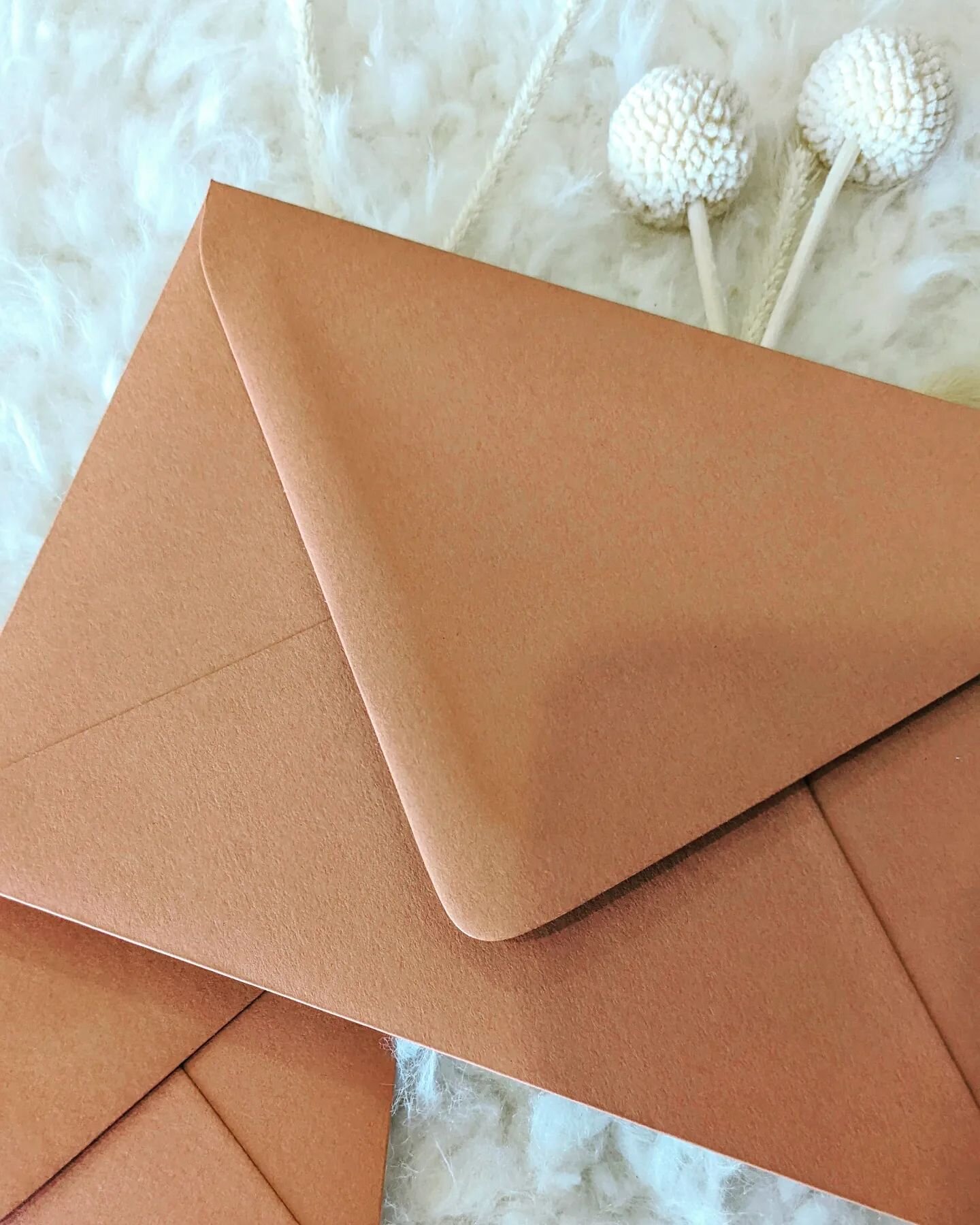 OH EM GEEEEE! all my Southwest, Boho, earthy Vibes lovin' couples, we just got the holy grail of new envelope and cardstock colors in, the most perfect Terracotta!!!! It's stunning in person, I can't wait to see how you all use it. It's been the bigg