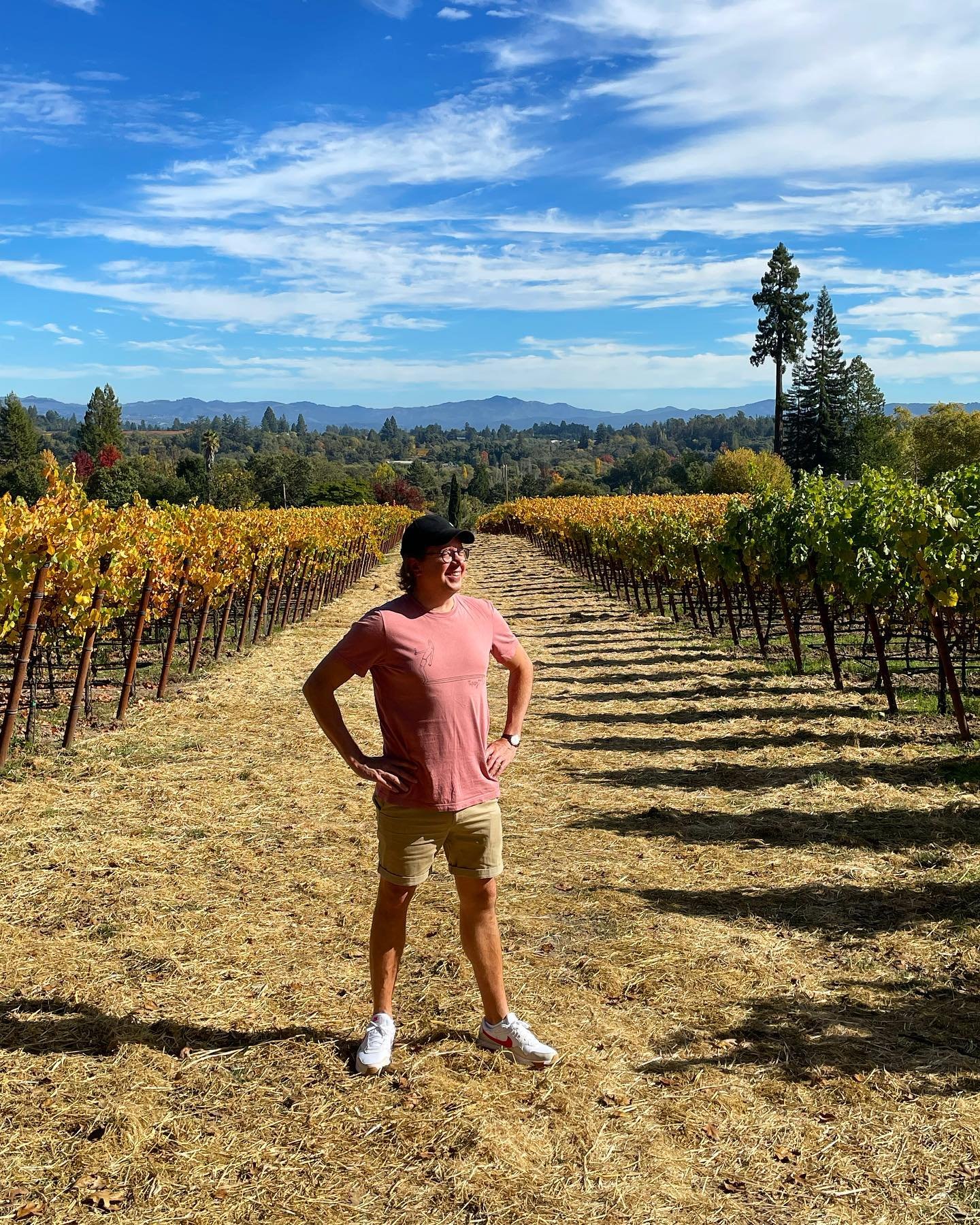 Just back from an amazing few weeks learning about Californian wine. 🇺🇸🍷
- For me there is no better way to learn about wine regions than to go and visit them, to see them yourself, to taste the grapes, meet the winemakers, see the wineries and to