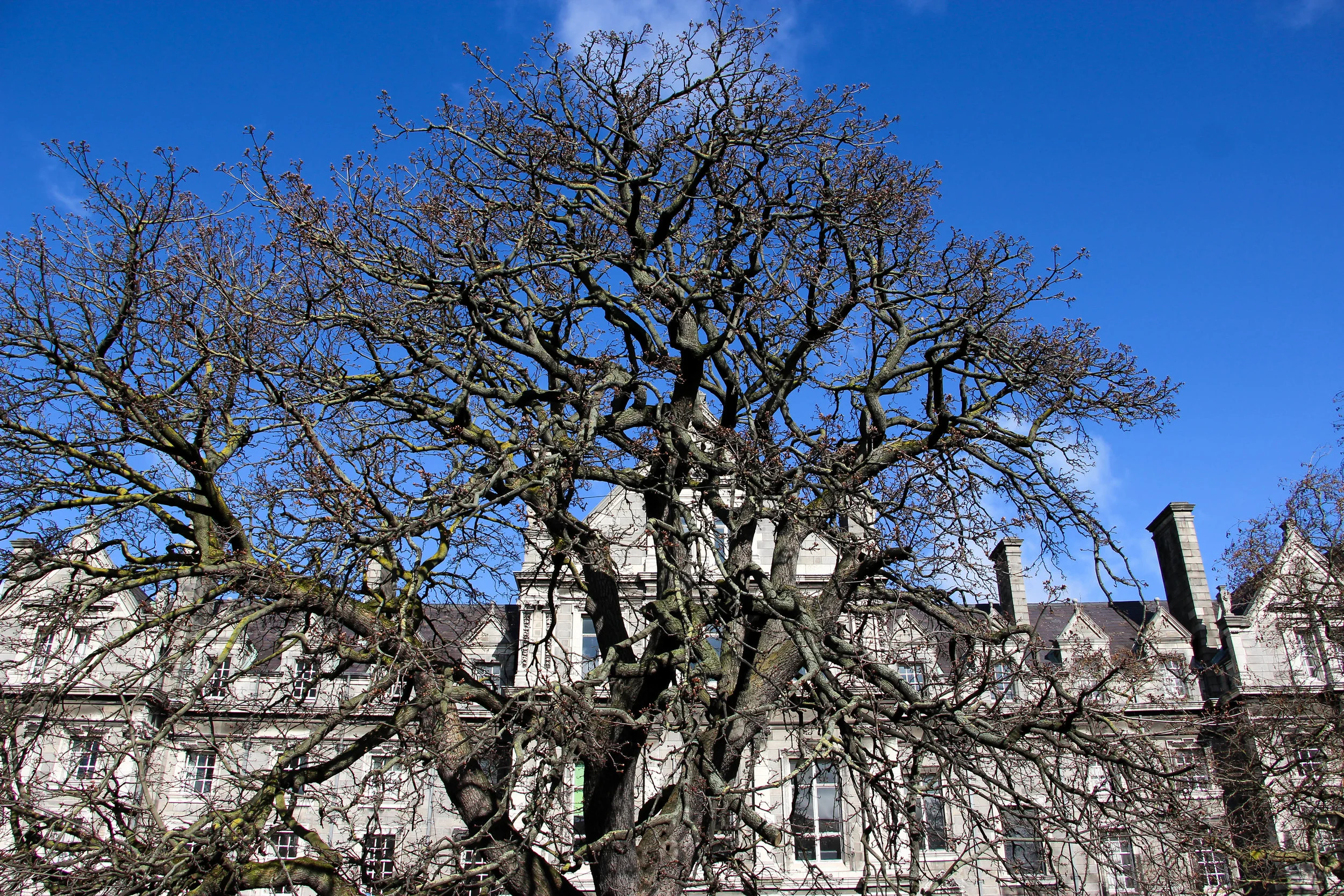 Trinity College, Dublin, Ireland, Europe | www.DoLessGetMoreDone.com |