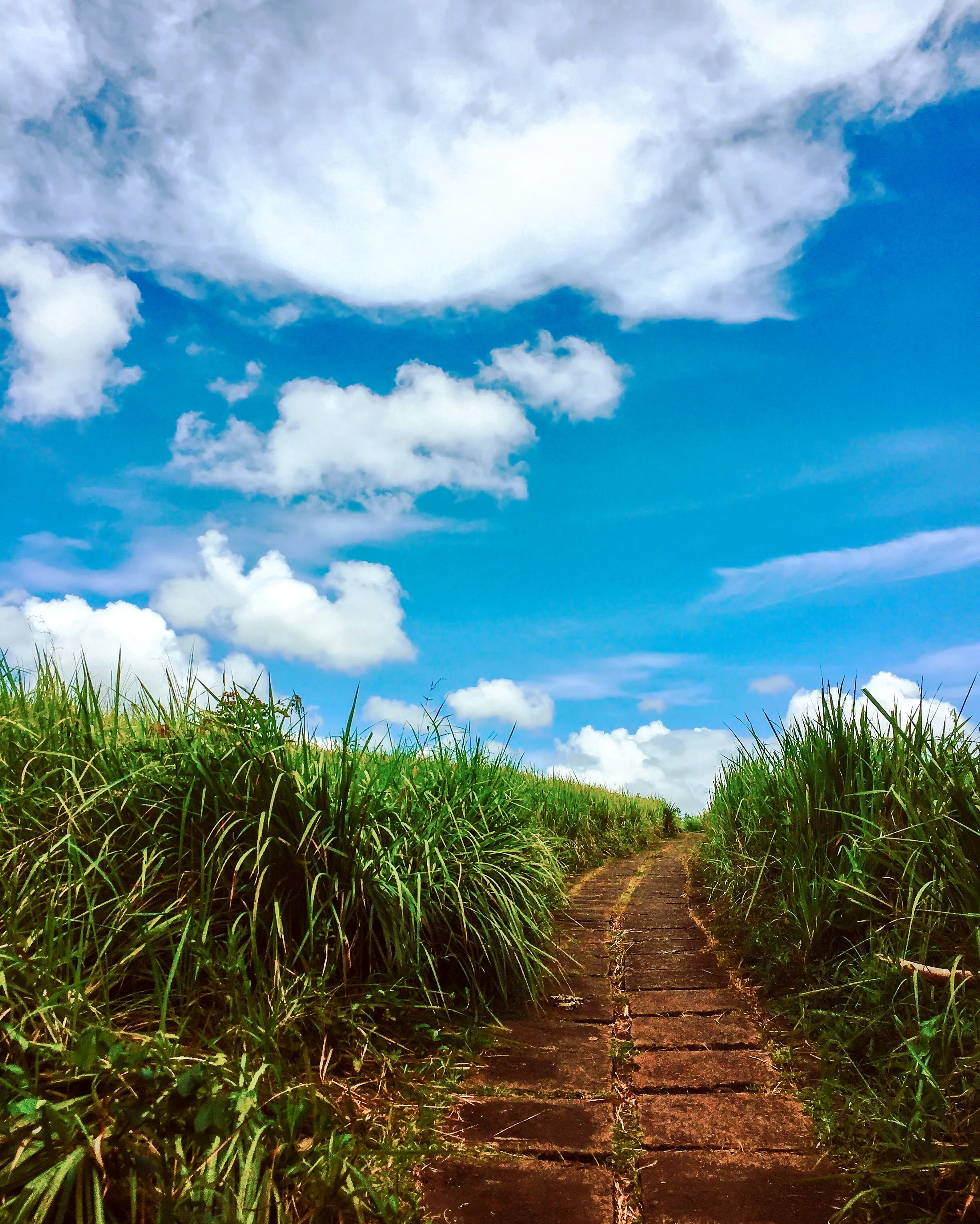 Ubud, Bali, Indonesia, Asia | www.DoLessGetMoreDone.com |