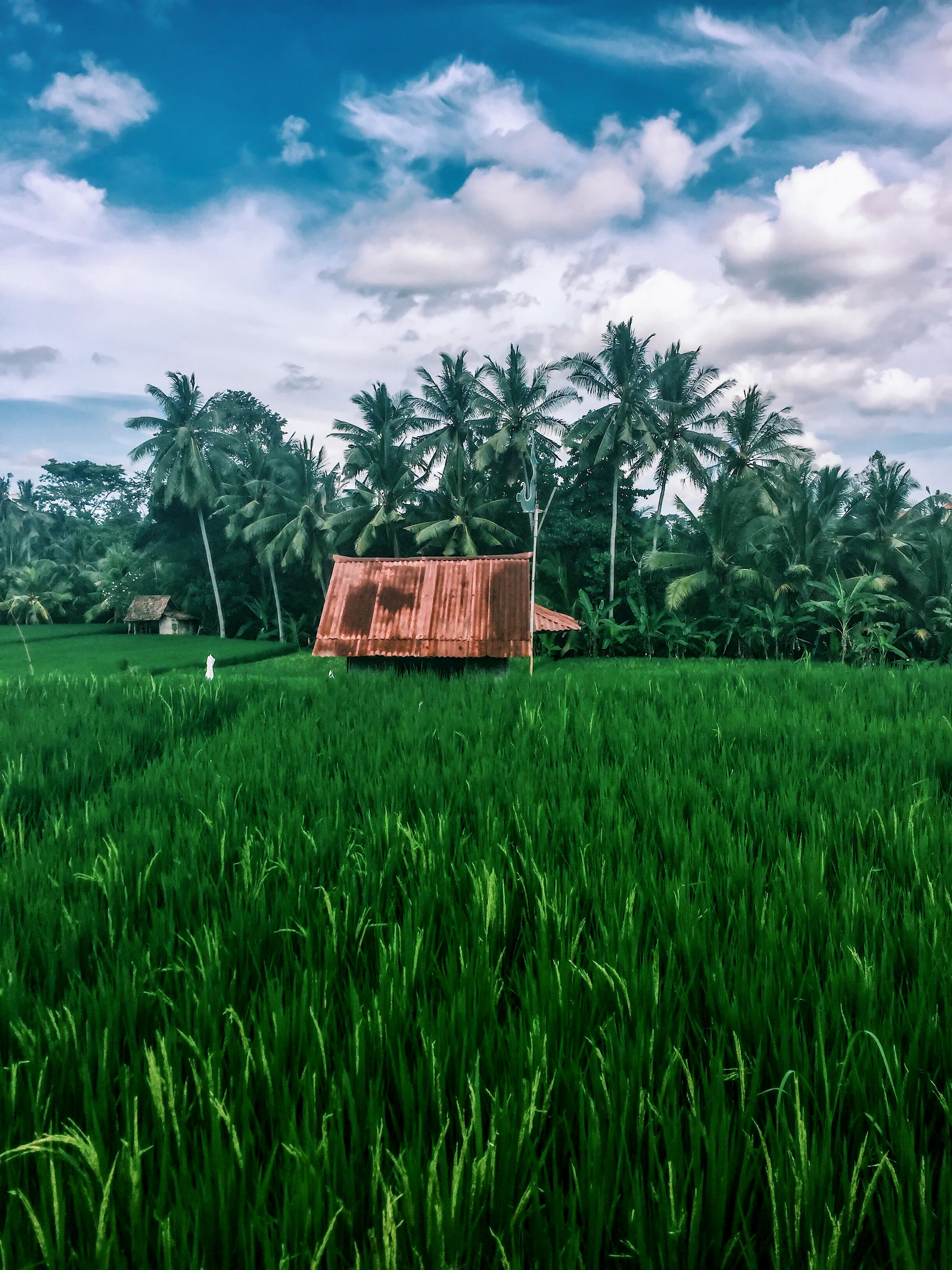 Ubud, Bali, Indonesia, Asia | www.DoLessGetMoreDone.com |