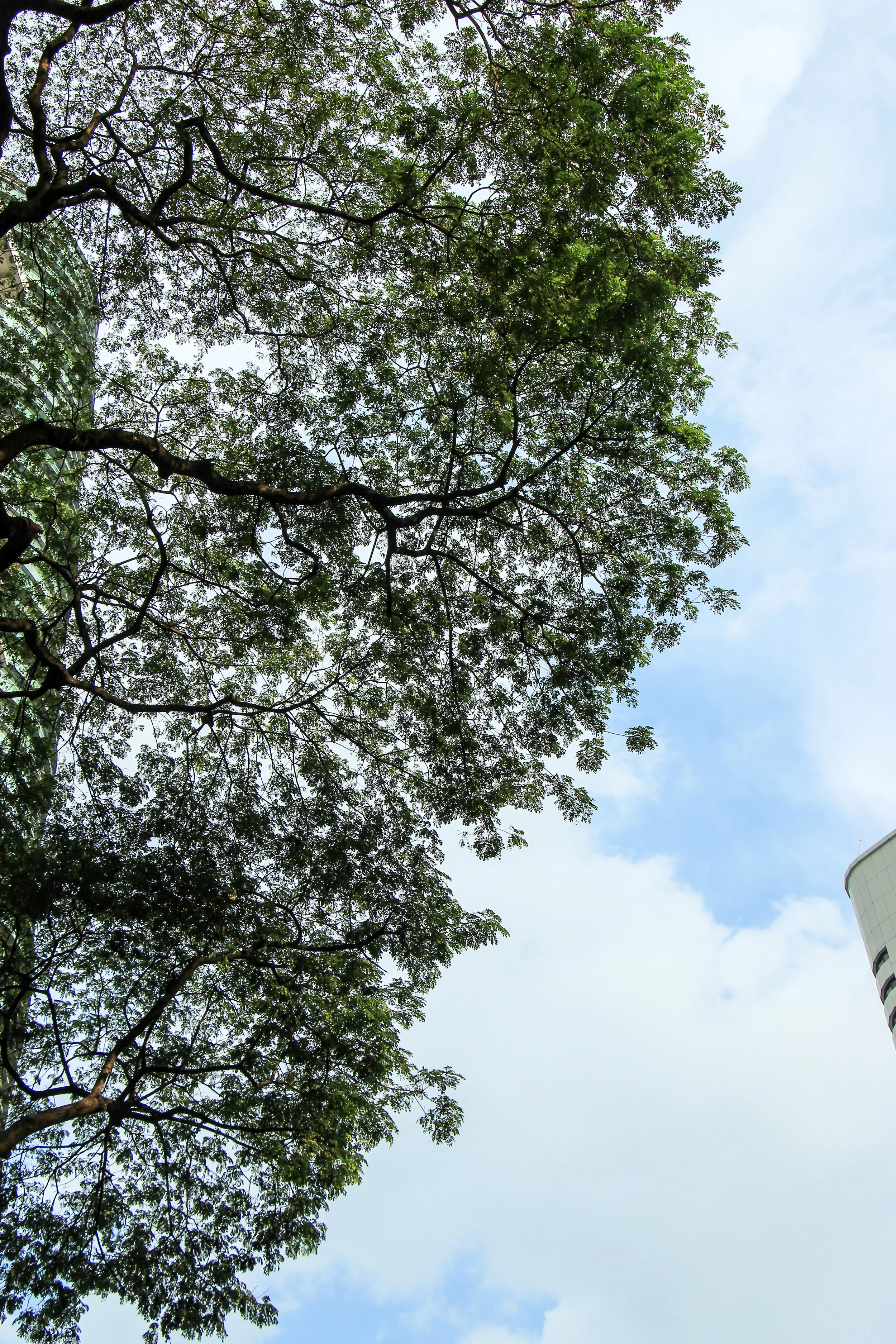 Kuala Lumpur, Malaysia, Asia | DoLessGetMoreDone.com |
