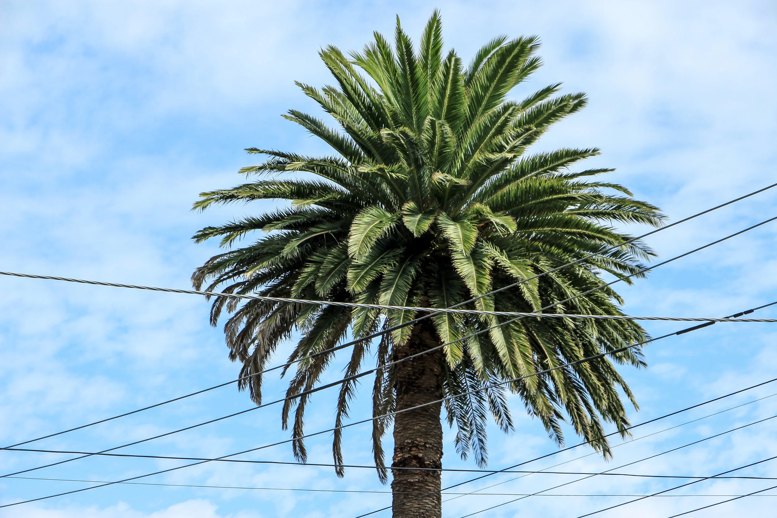 Melbourne, Australia | DoLessGetMoreDone.com |