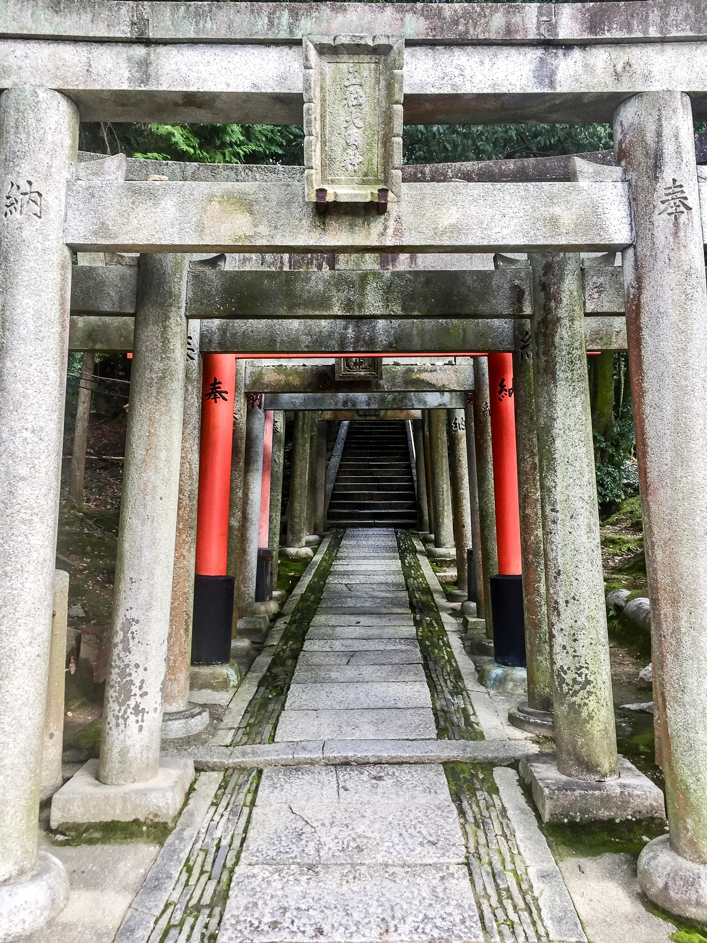 Tofukuji Temple, Kyoto, Japan, East Asia | DoLessGetMoreDone.com |