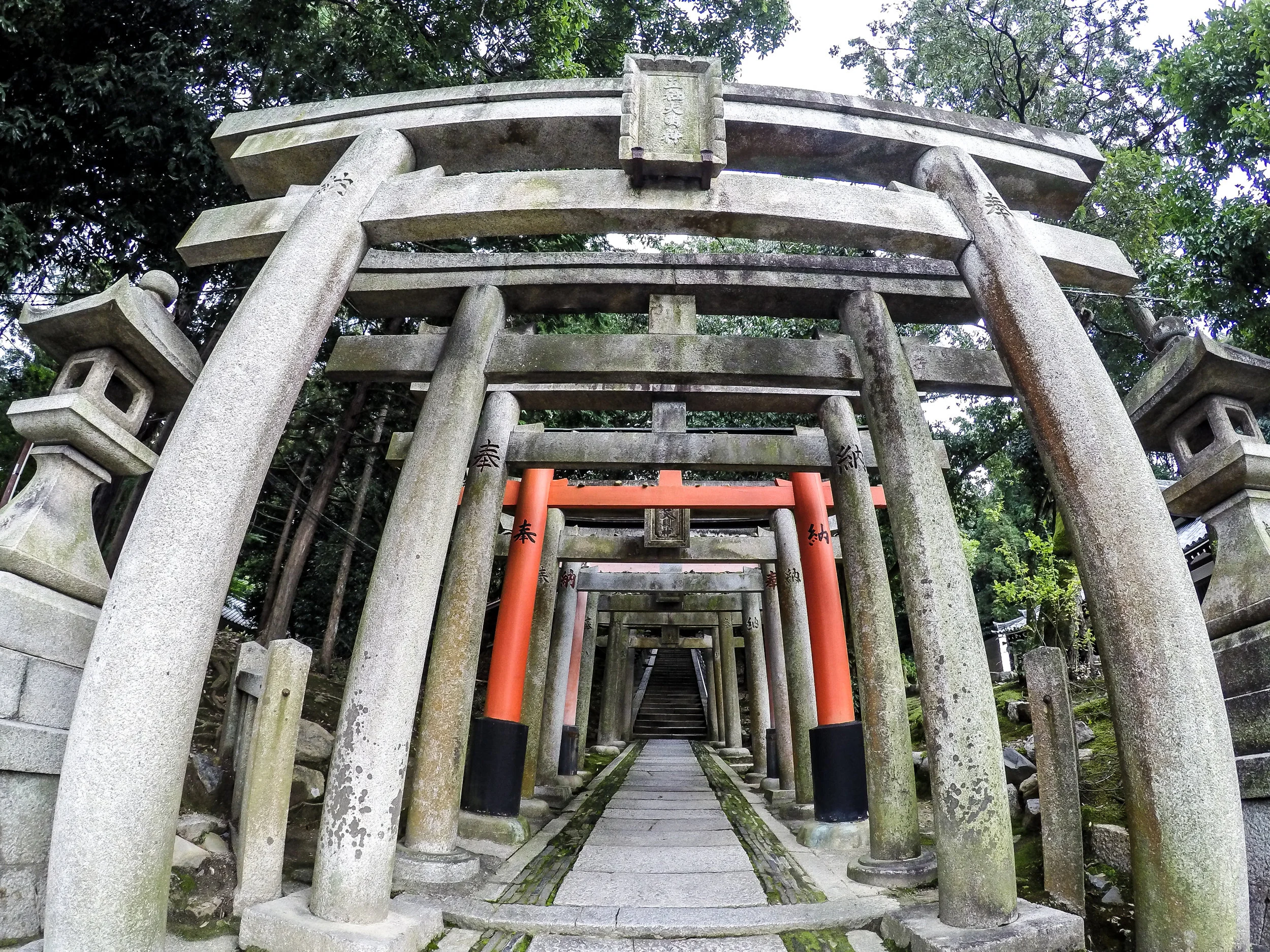 Tofukuji Temple, Kyoto, Japan, East Asia | DoLessGetMoreDone.com |