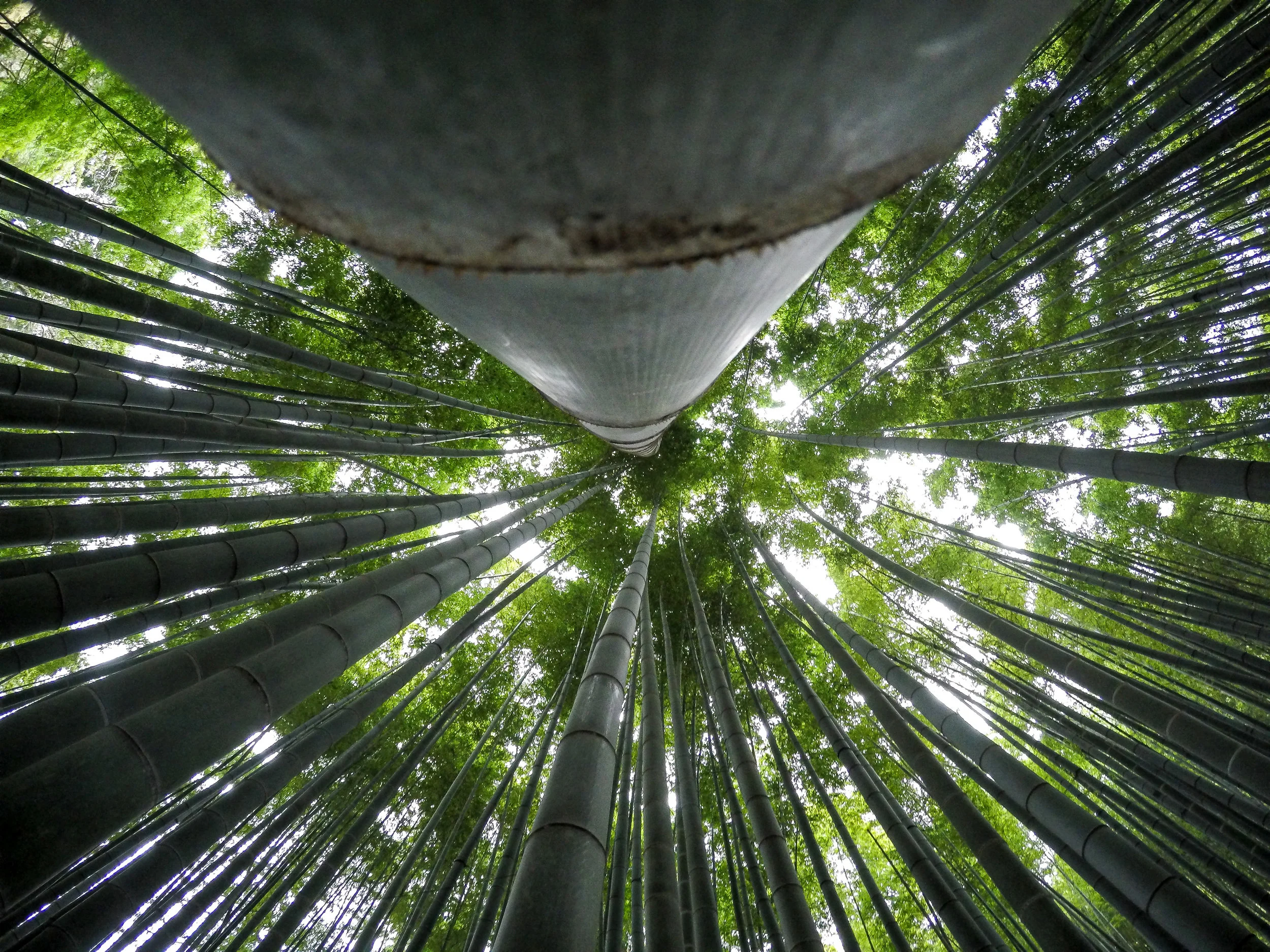 Kamakura In A Simple Way Like That - Japan, Asia | DoLessGetMoreDone.com | - Minimal Travel Documentary Photography - search for Liveability | Sustainability