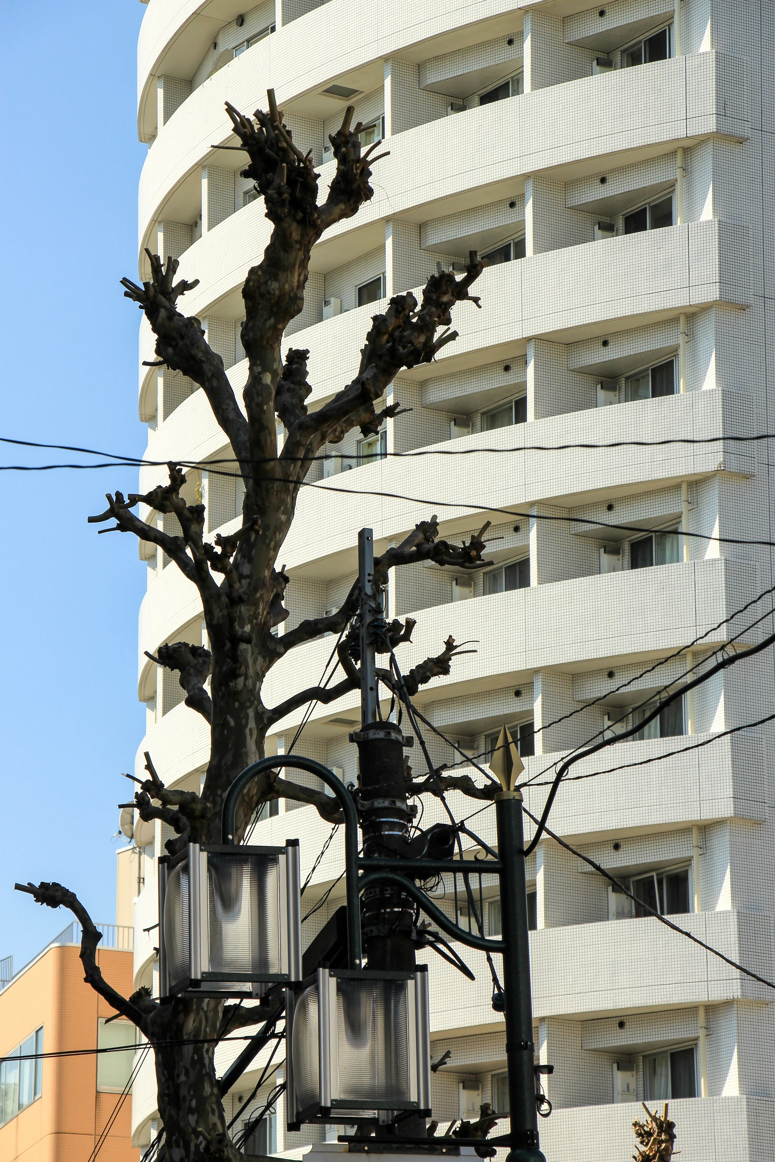 Tokyo, Japan, Asia | DoLessGetMoreDone.com | Some Things Happen For A Reason, Others Just Come With The Season