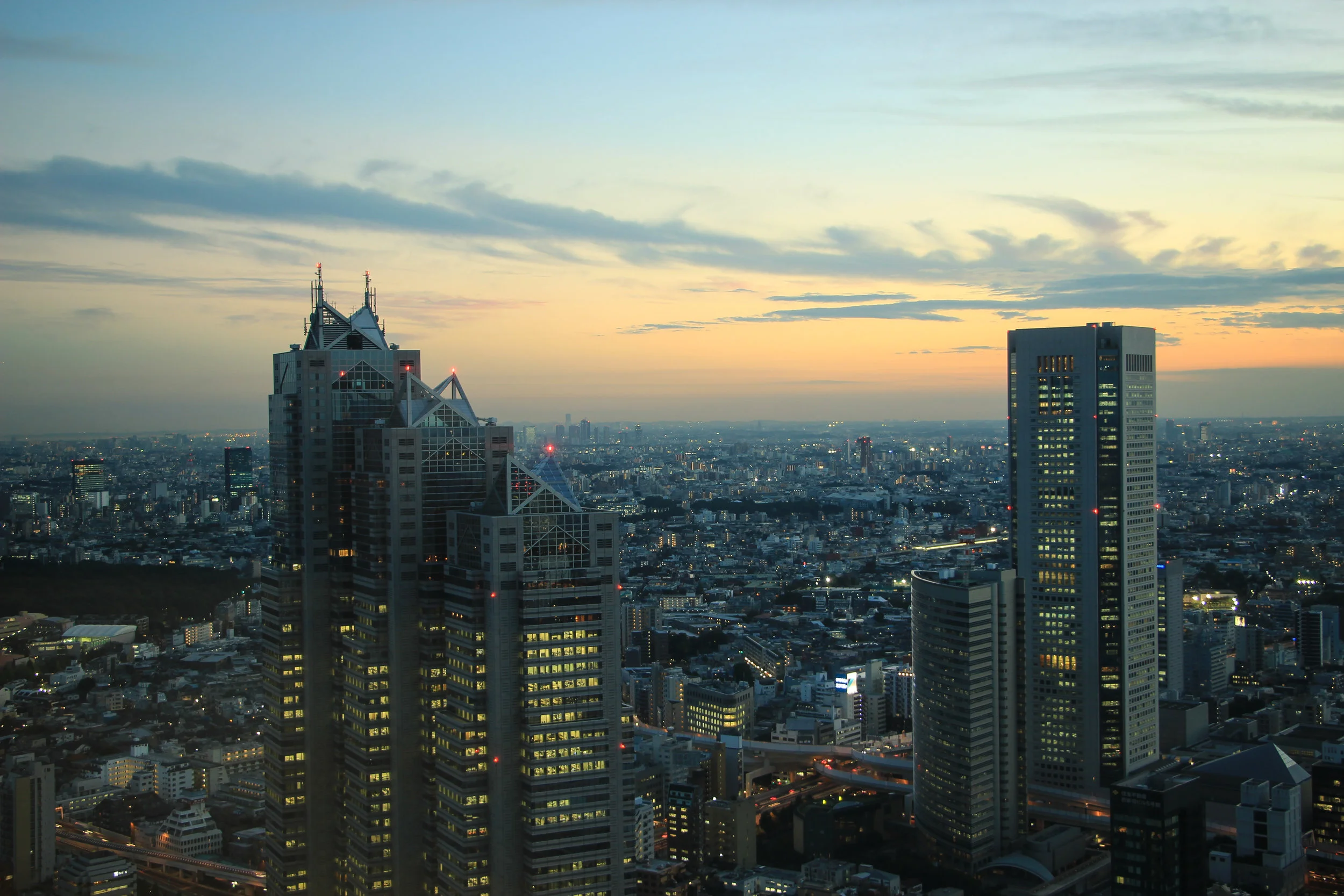 Tokyo, Japan, Asia | DoLessGetMoreDone.com | Some Things Happen For A Reason, Others Just Come With The Season