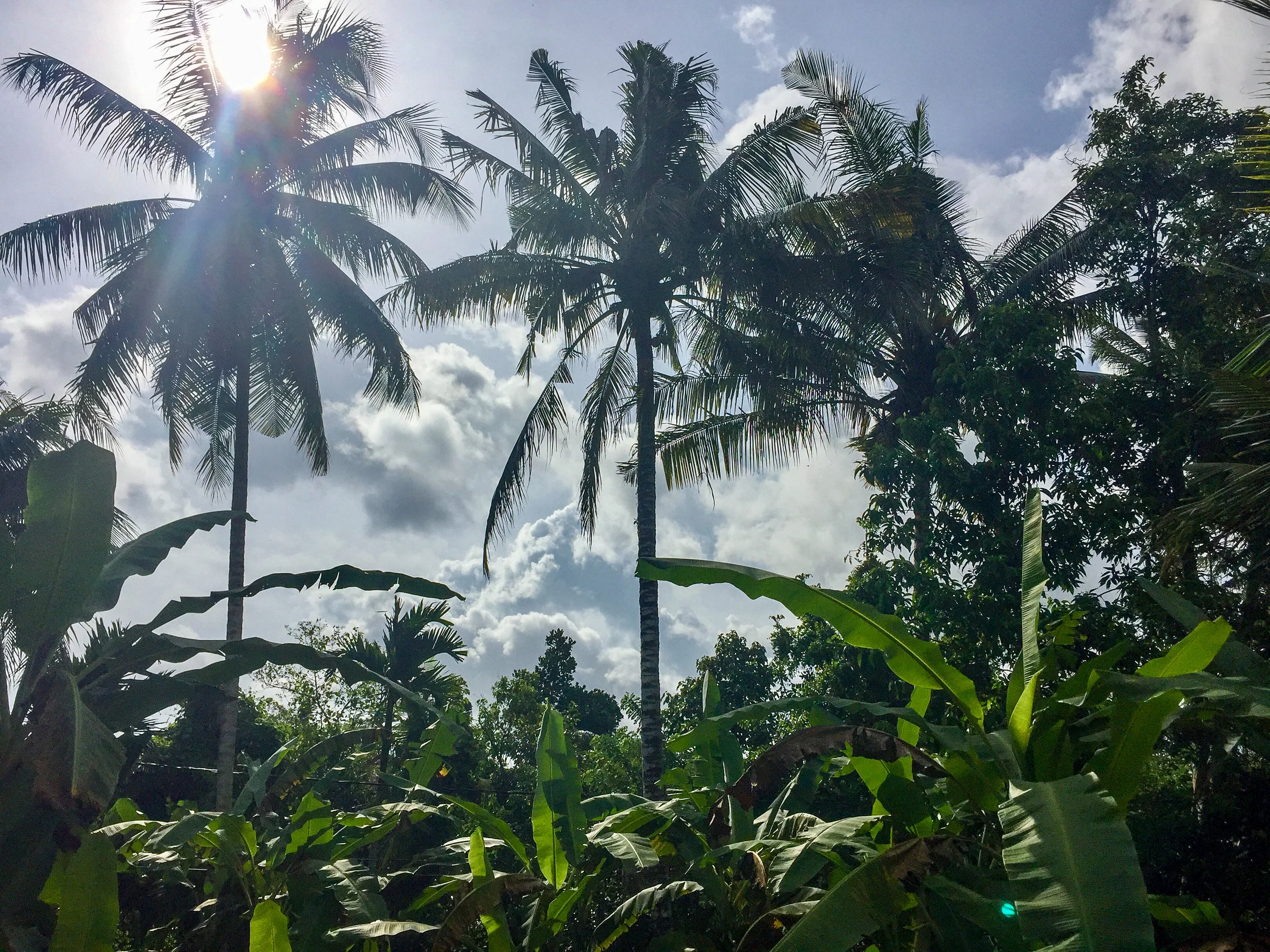 Ubud, Bali, Asia | DoLessGetMoreDone.com |