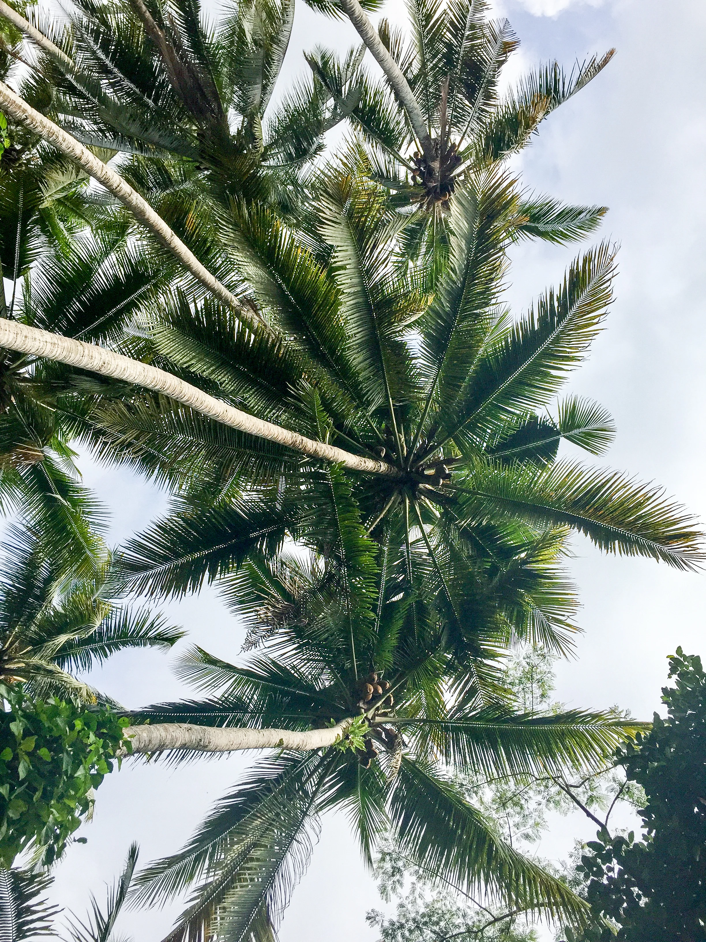 Ubud, Bali, Asia | DoLessGetMoreDone.com |