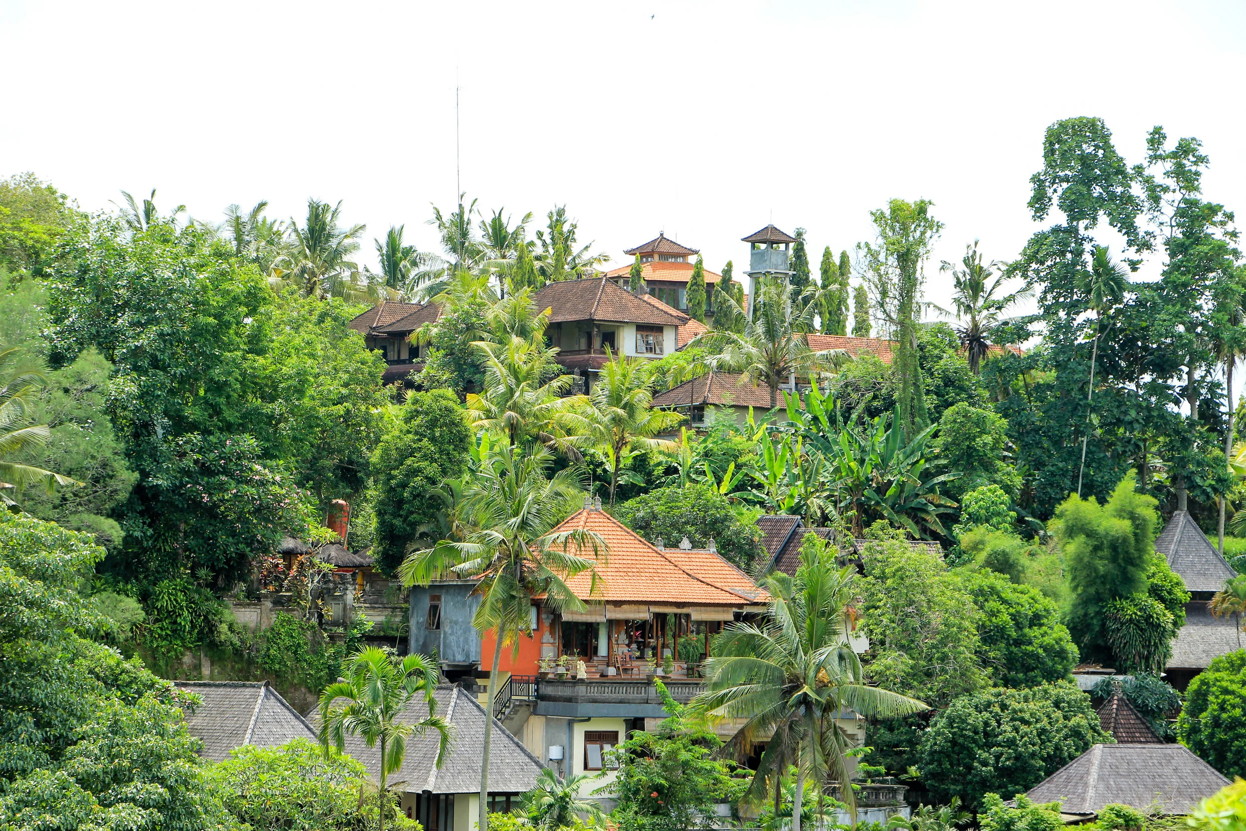 Campuhan Ridge Walk, Bali, Asia | DoLessGetMoreDone.com |