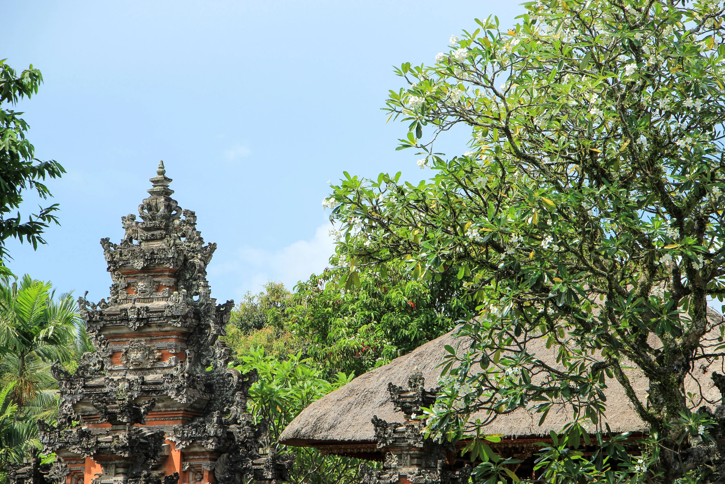 Bali, Asia | DoLessGetMoreDone.com |