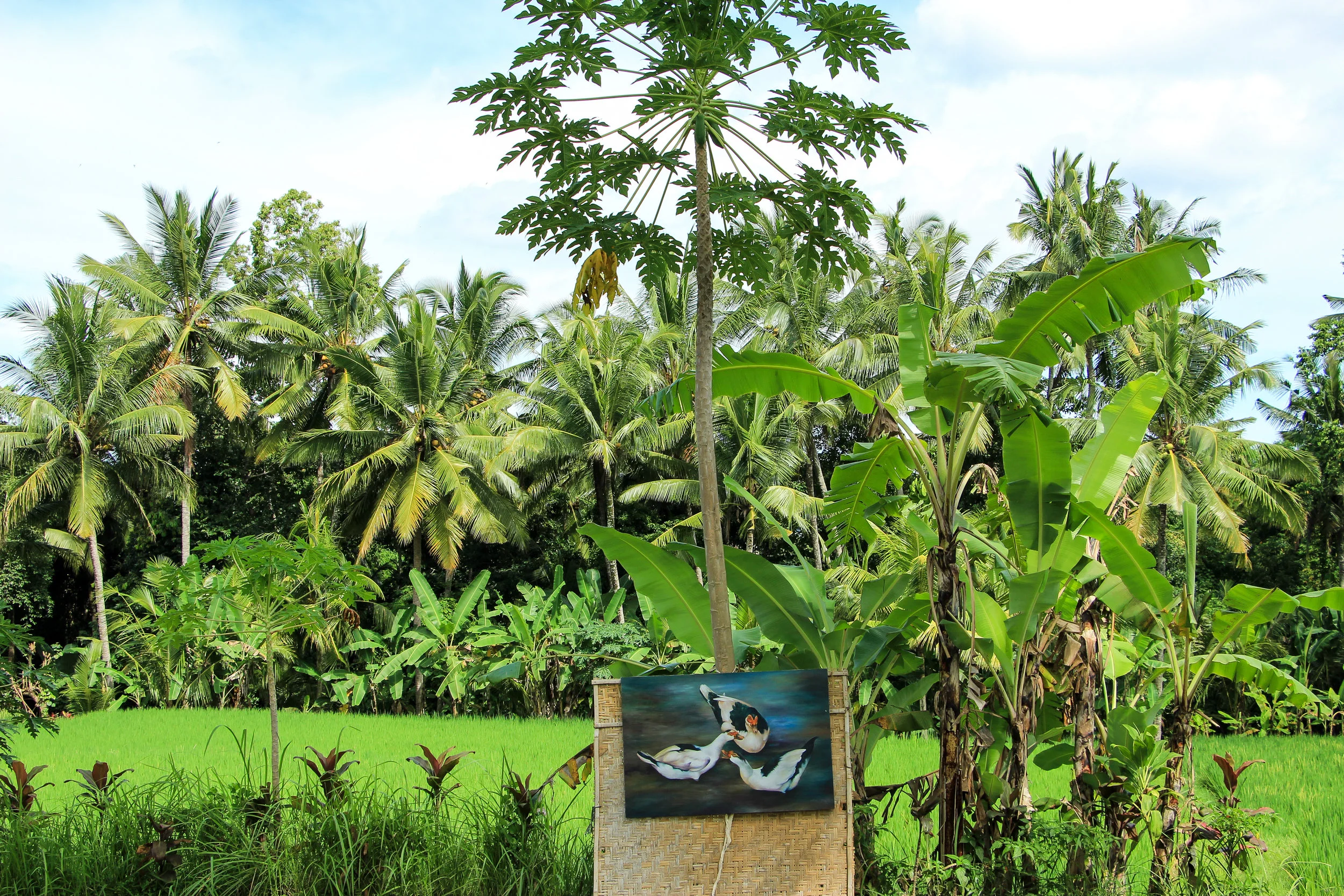 Ubud, Bali, Asia | DoLessGetMoreDone.com |