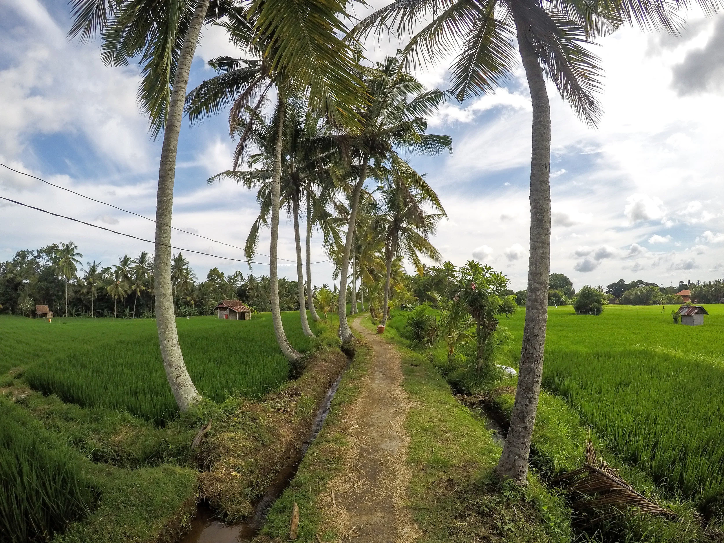 Ubud, Gianyar, Bali, Asia | DoLessGetMoreDone.com |