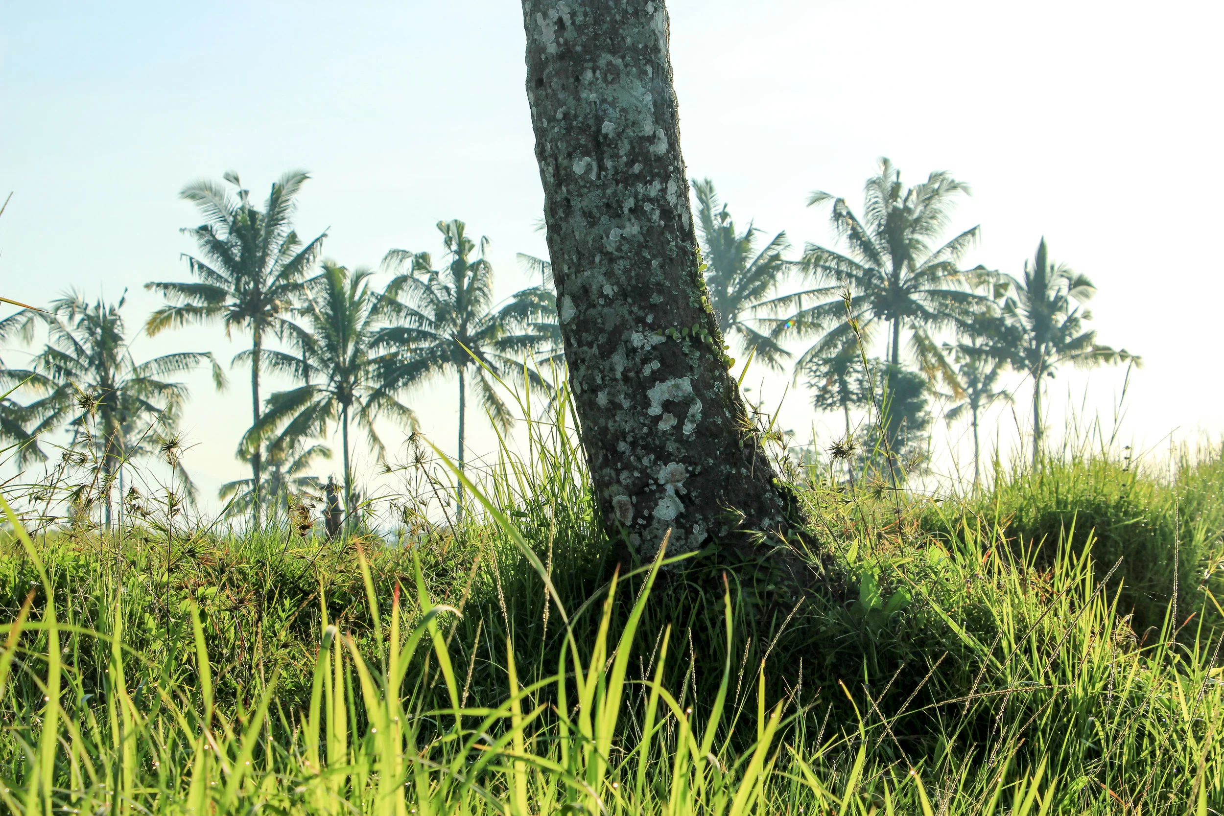 Bali, Asia | DoLessGetMoreDone.com |