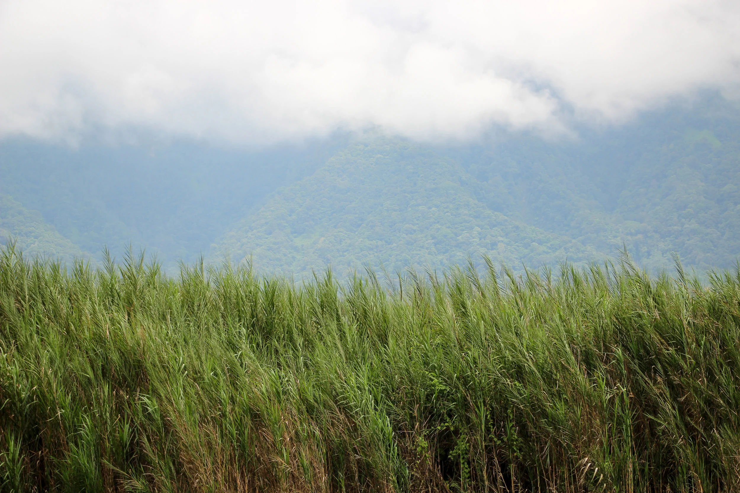 Bali, Indonesia, Asia | DoLessGetMoreDone.com |