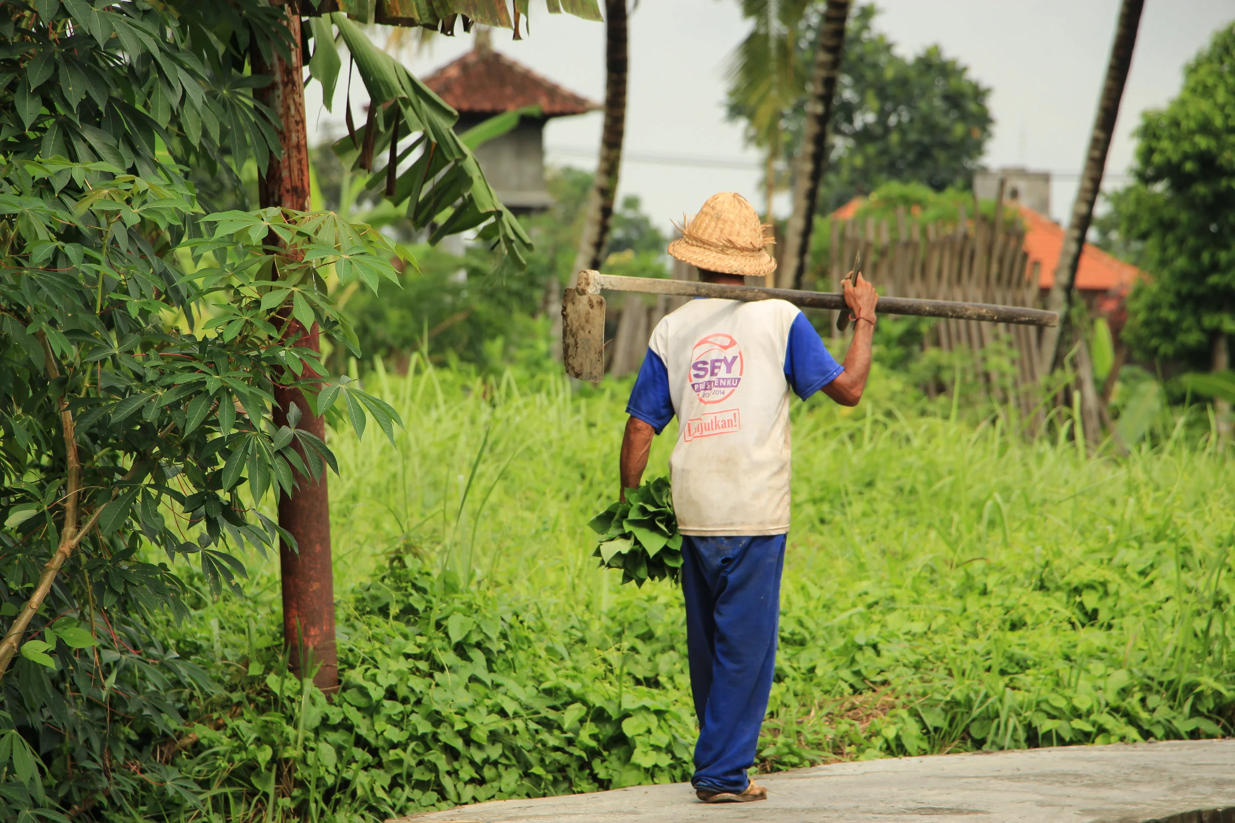 farmer, Bali, Asia | DoLessGetMoreDone.com |
