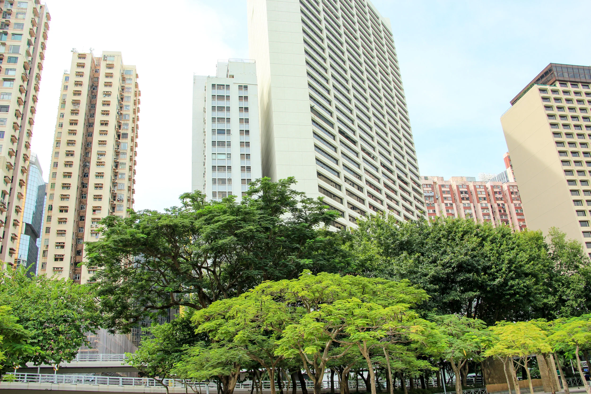 Hong Kong, Hong Kong Island, green, tree, sustainability, Asia | DoLessGetMoreDone.com |