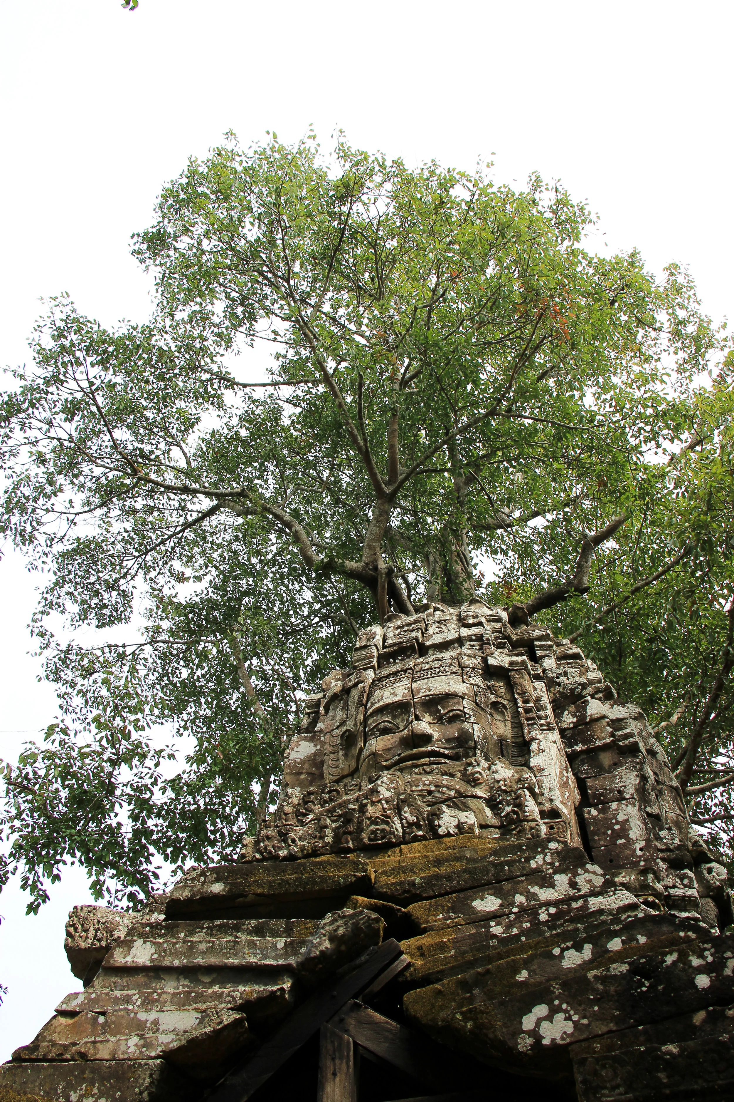 One Moment At A Time | Ta Som, Angkor, Siem Reap, Cambodia, Asia | DoLessGetMoreDone.com |