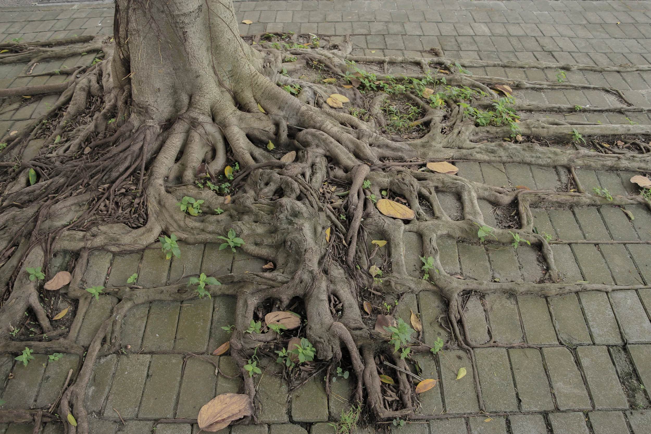 Every image has a story behind it | Macau | DoLessGetMoreDone.com | - Minimal Travel Documentary Photography - search for Liveability | Sustainability