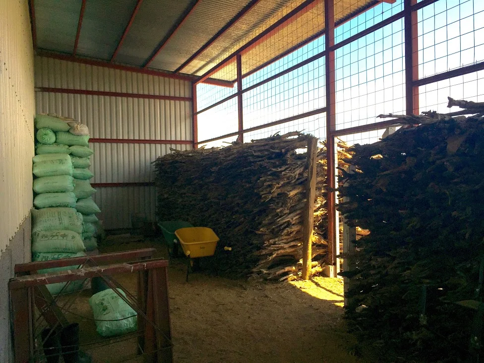 Wood from stumped trees is saved and used for firewood for the mechanical dryers & for mulch.