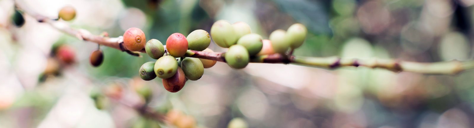Burundi-Category_header.jpg