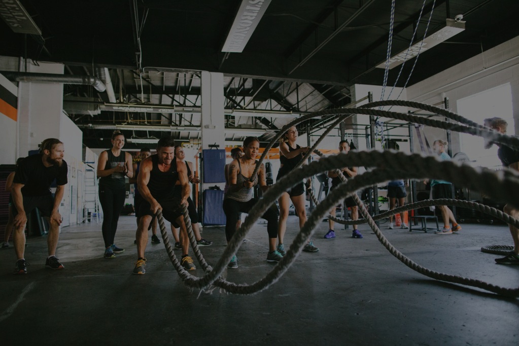 ropes+2.jpg