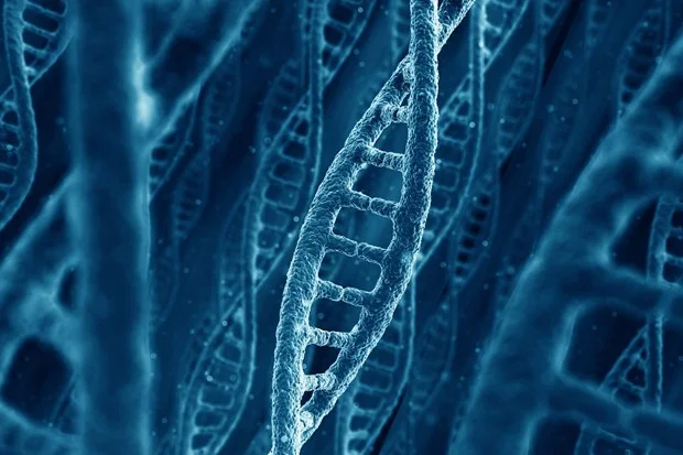 On PGD and Surrogacy: Human Dignity and Biotechnology