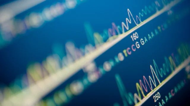 On June 13, The Supreme Court decided in a 9-0 decision that isolated human genes are not patentable. Photo courtesy of Tufts University.
