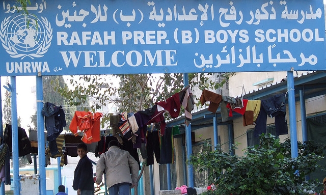 Resilience Within a Conflict Zone