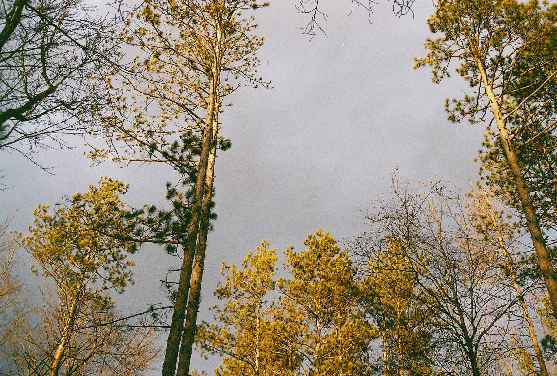 DH000001.jpg
