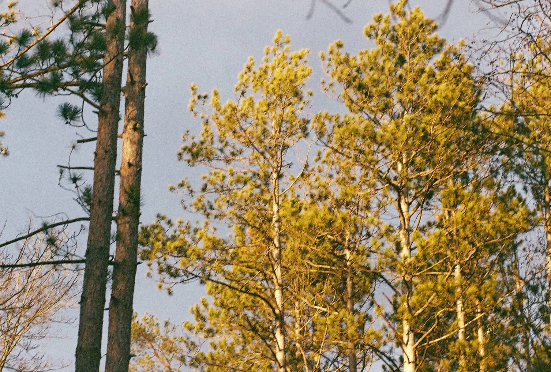 FH000014 2.jpg