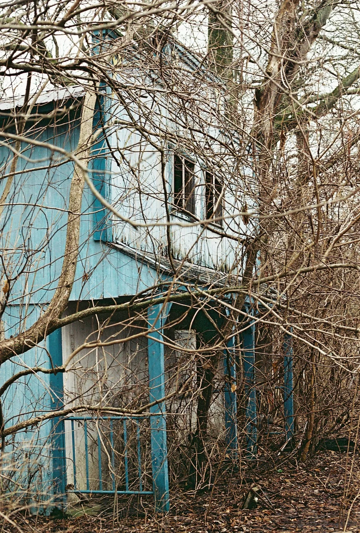 FH000019 2.jpg
