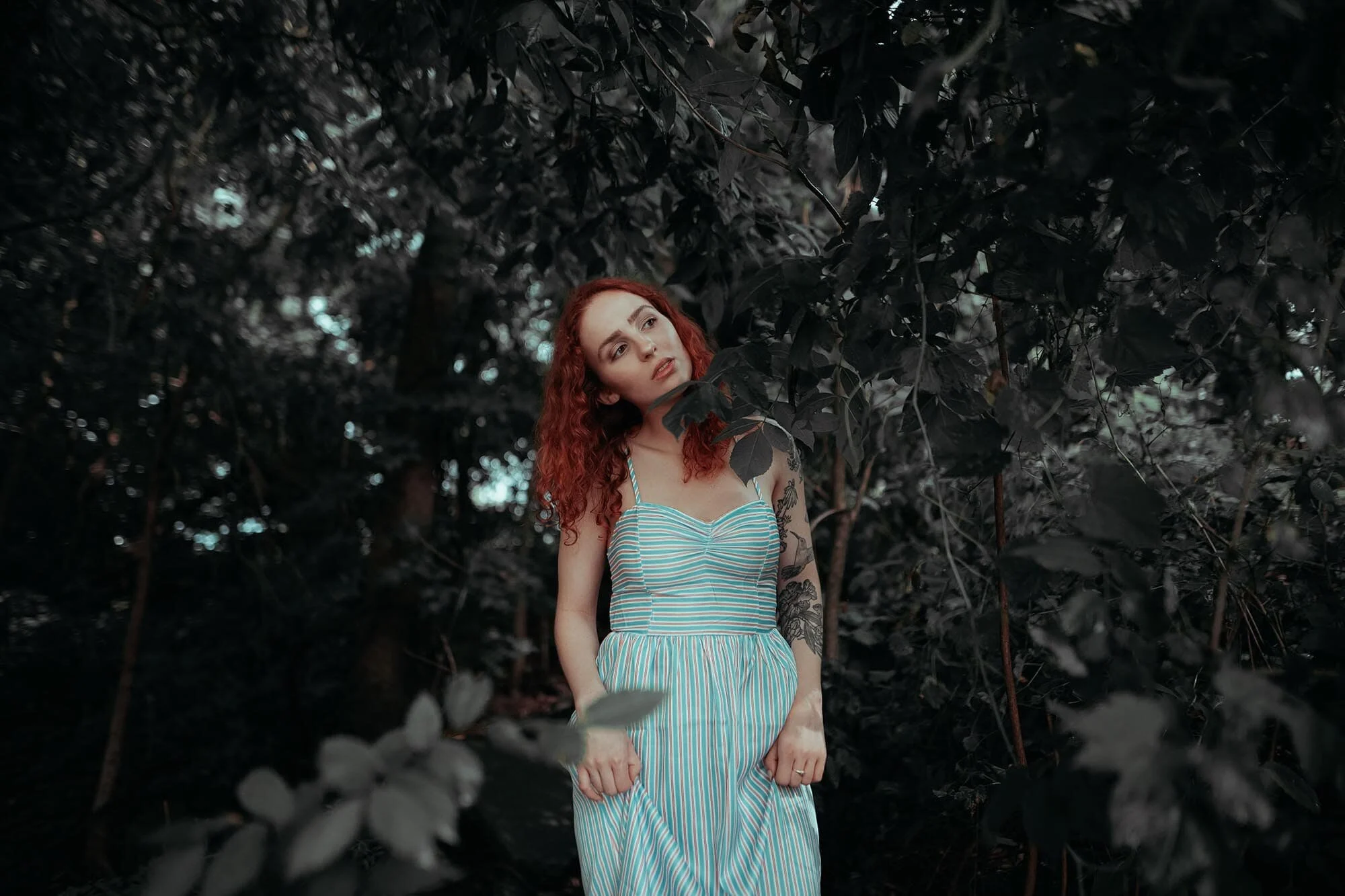 JW01 Lightroom Presets