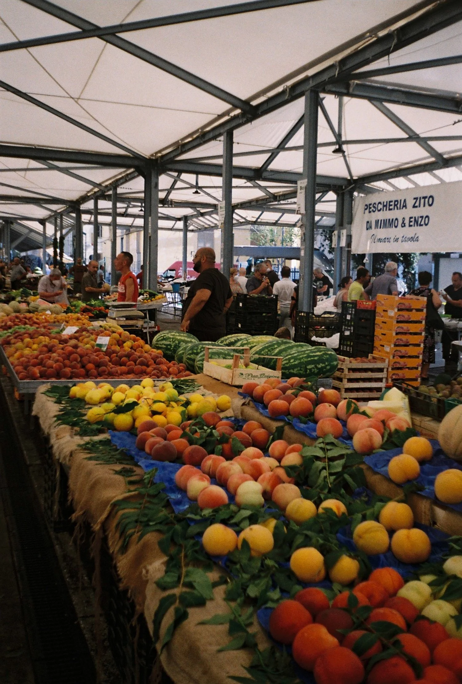SALERNOA 07.22.JPG