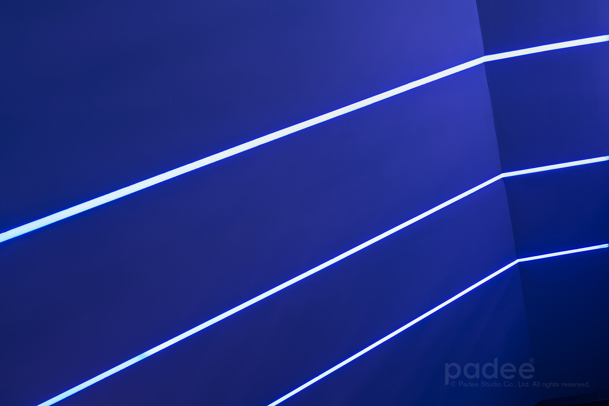 Energetic Lines : Dynamic Ceiling : Ceiling Design