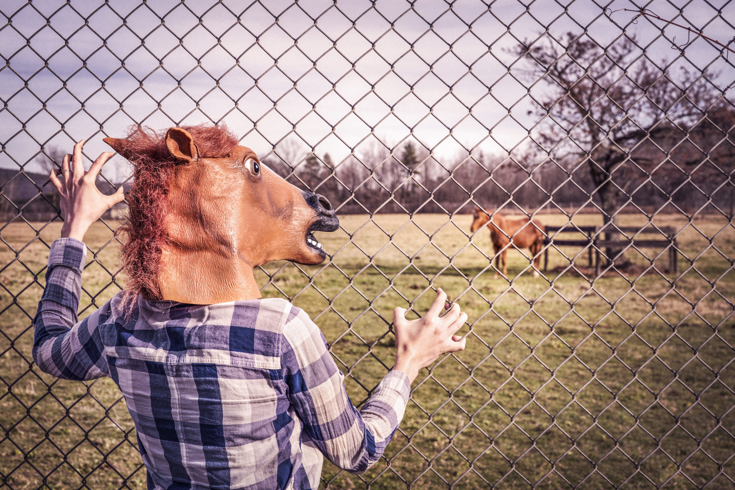 How long before the GAY AGENDA has us wanting to do it with horses? Not long, I'm afraid. BEWARE the gay agenda.